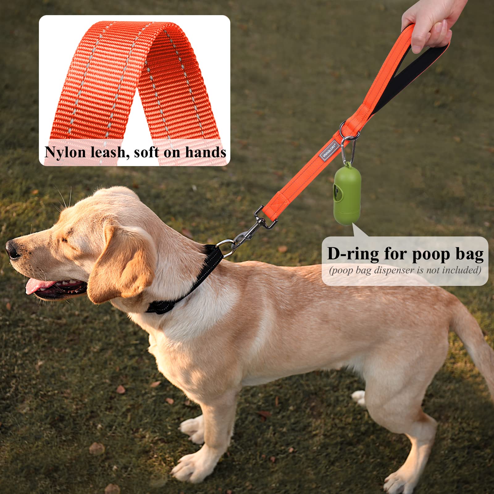 Vivaglory Short Dog Leash For Medium & Large Dogs, 18Inch, Orange