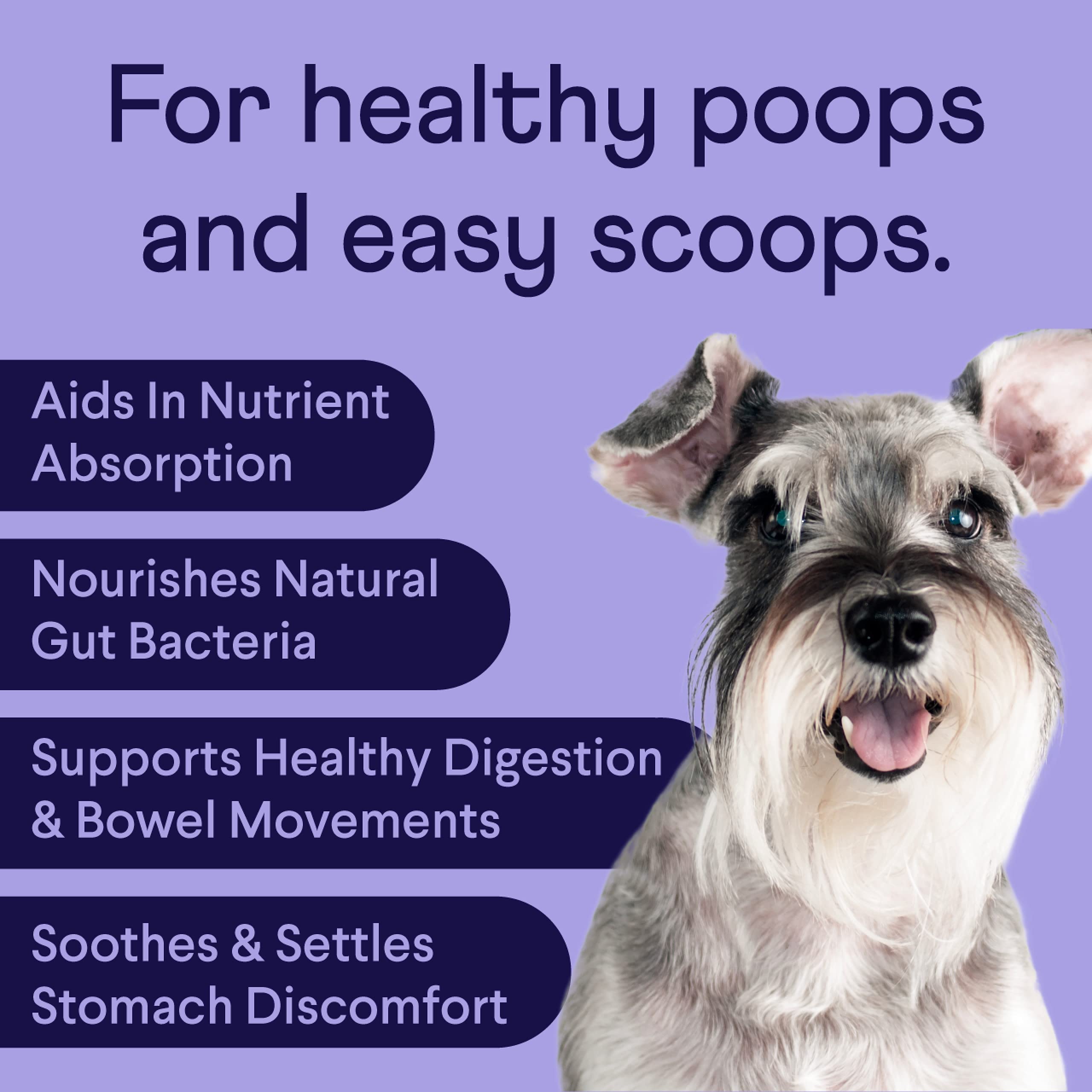 Finn Digestive Probiotics for Dogs - 90 Soft Chews with Pumpkin & Prebiotics - Vet Recommended, Made in USA
