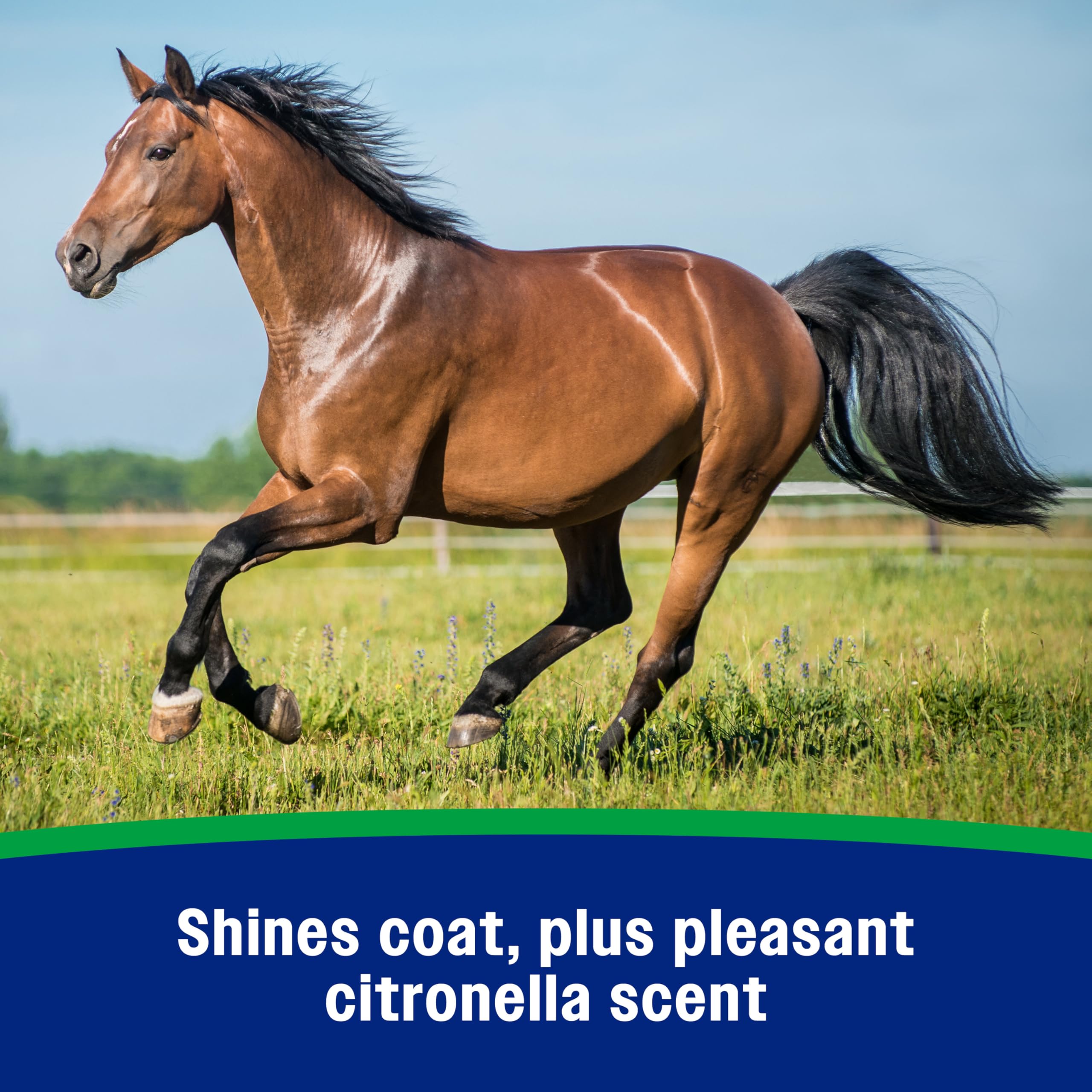 Farnam Wipe II Brand Horse Fly Spray with Citronella, Kills and Repels Flies, Conditions Coats, 32 oz