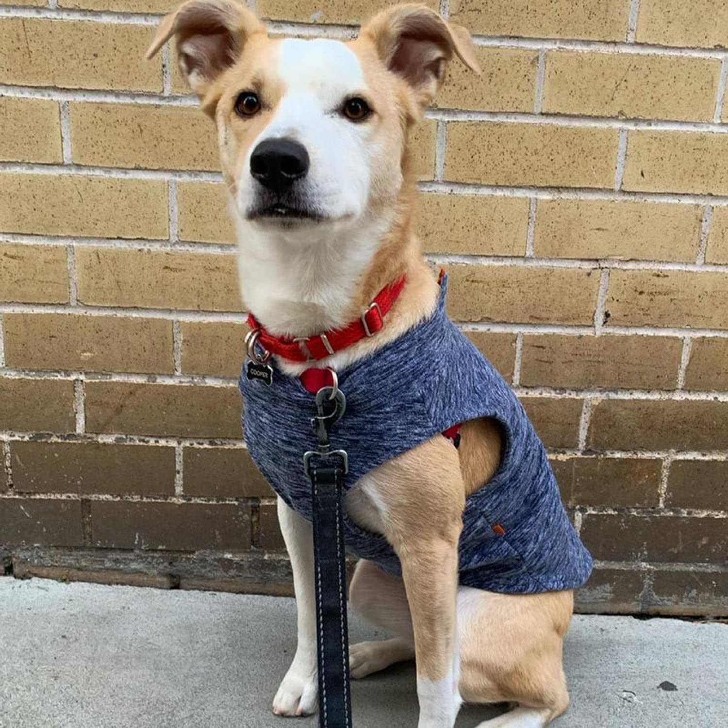 Gooby Boys 2X-Large Chest (~25.5 Inch) Zip Up Fleece, Gray Wash, 2X-Large 25.5 Us