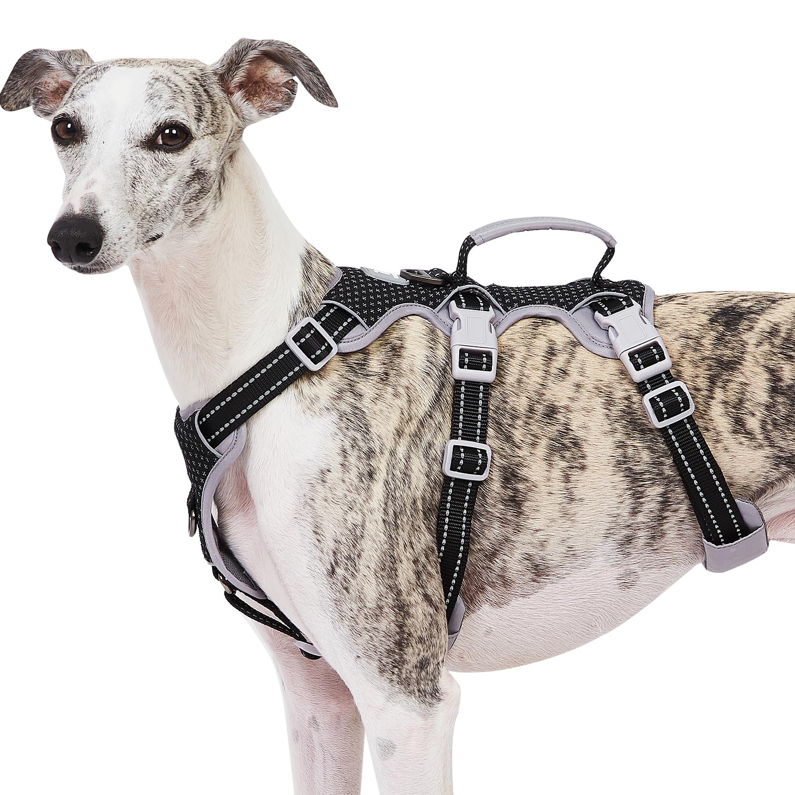 Huntboo Escape Proof Dog Harness, No Pull Reflective Harness With Lift Handle, Adjustable Pet Vest With Front And Back Leash Clips For Small Medium Large Dogs Walking Hiking Training (Black,Xl)