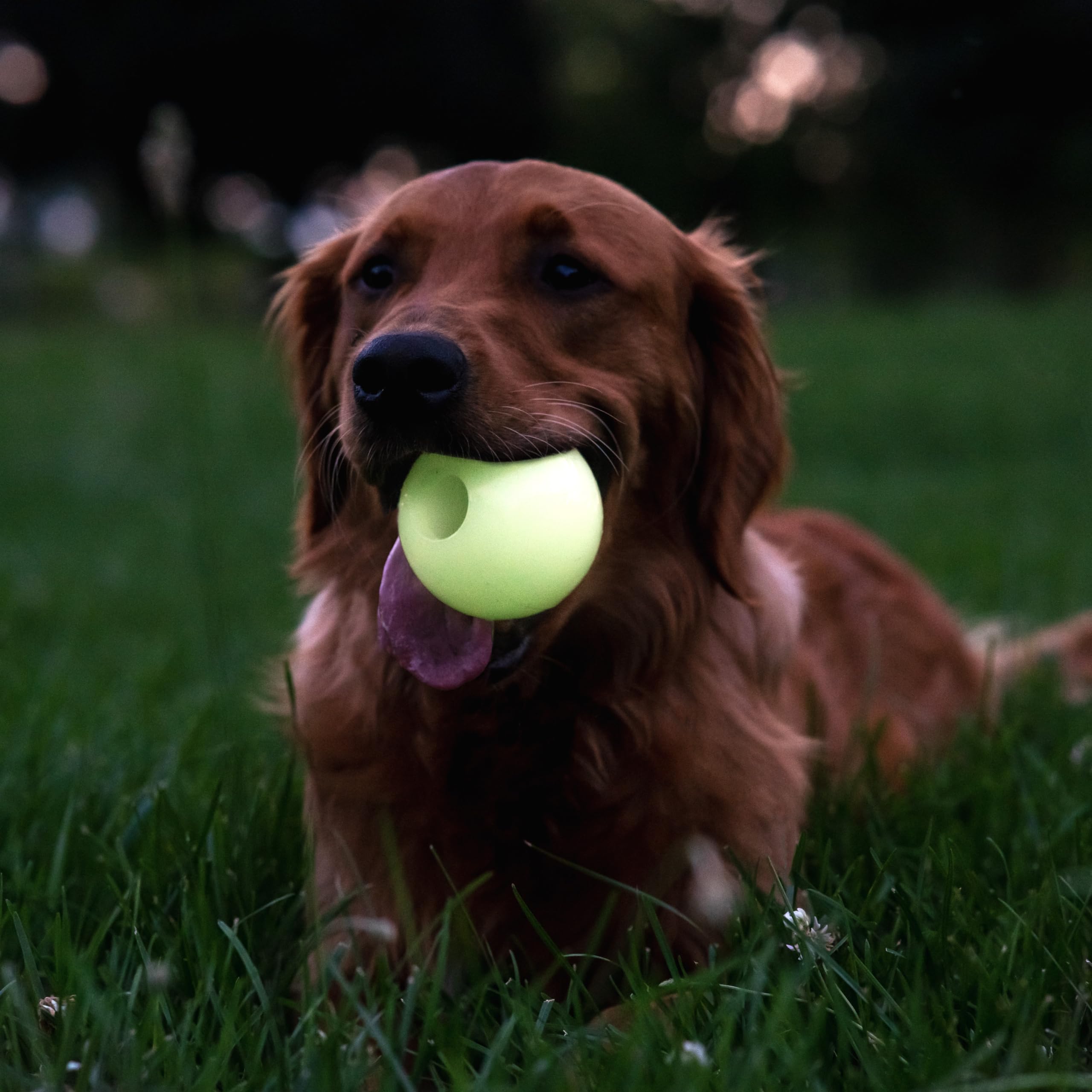Harry Barker Glow-in-The-Dark Rubber Fetch Balls, 3" High-Bounce Toy, Model 37-0910-80