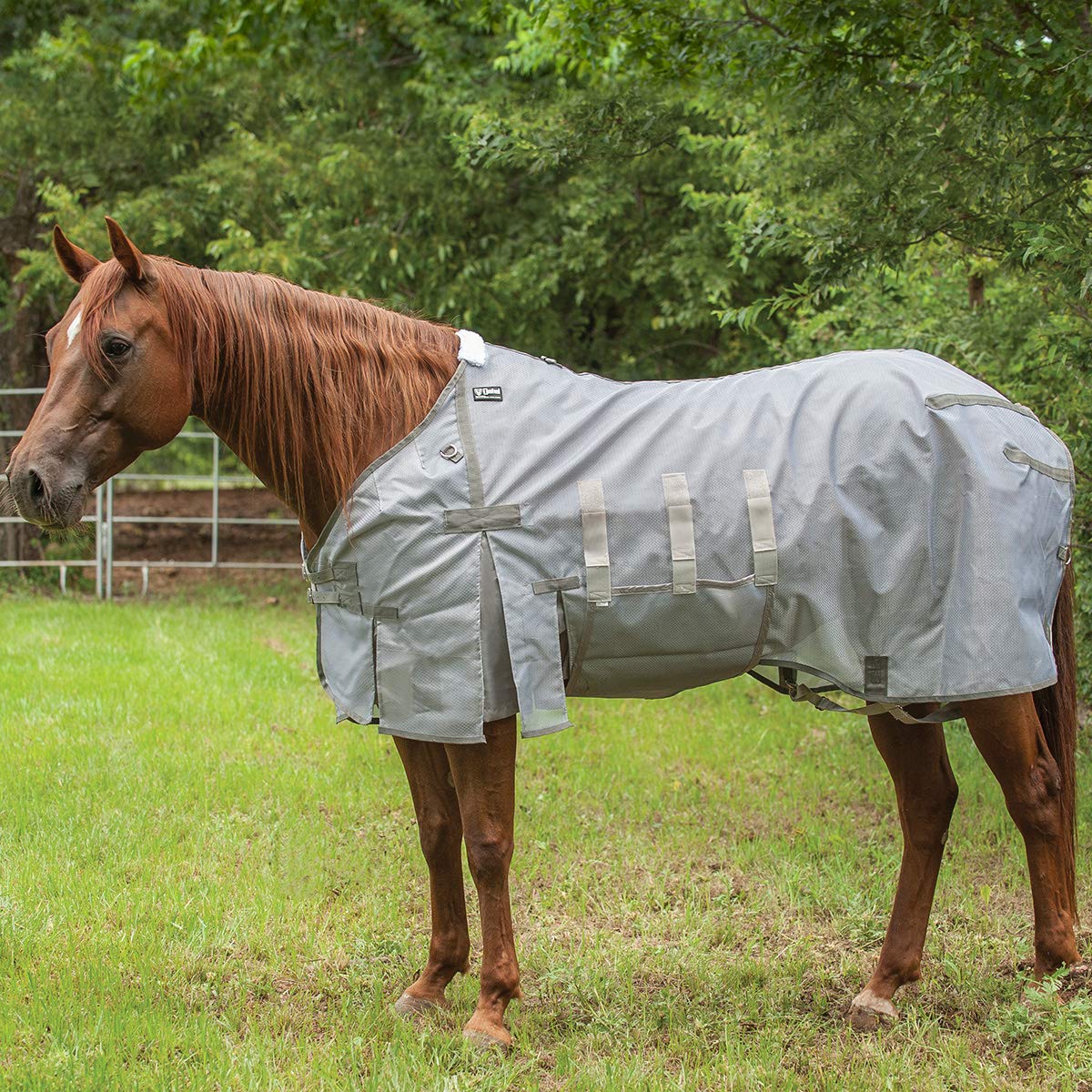 Cashel Lightweight Fly Sheet, 66-68 (Fsl-66/68)