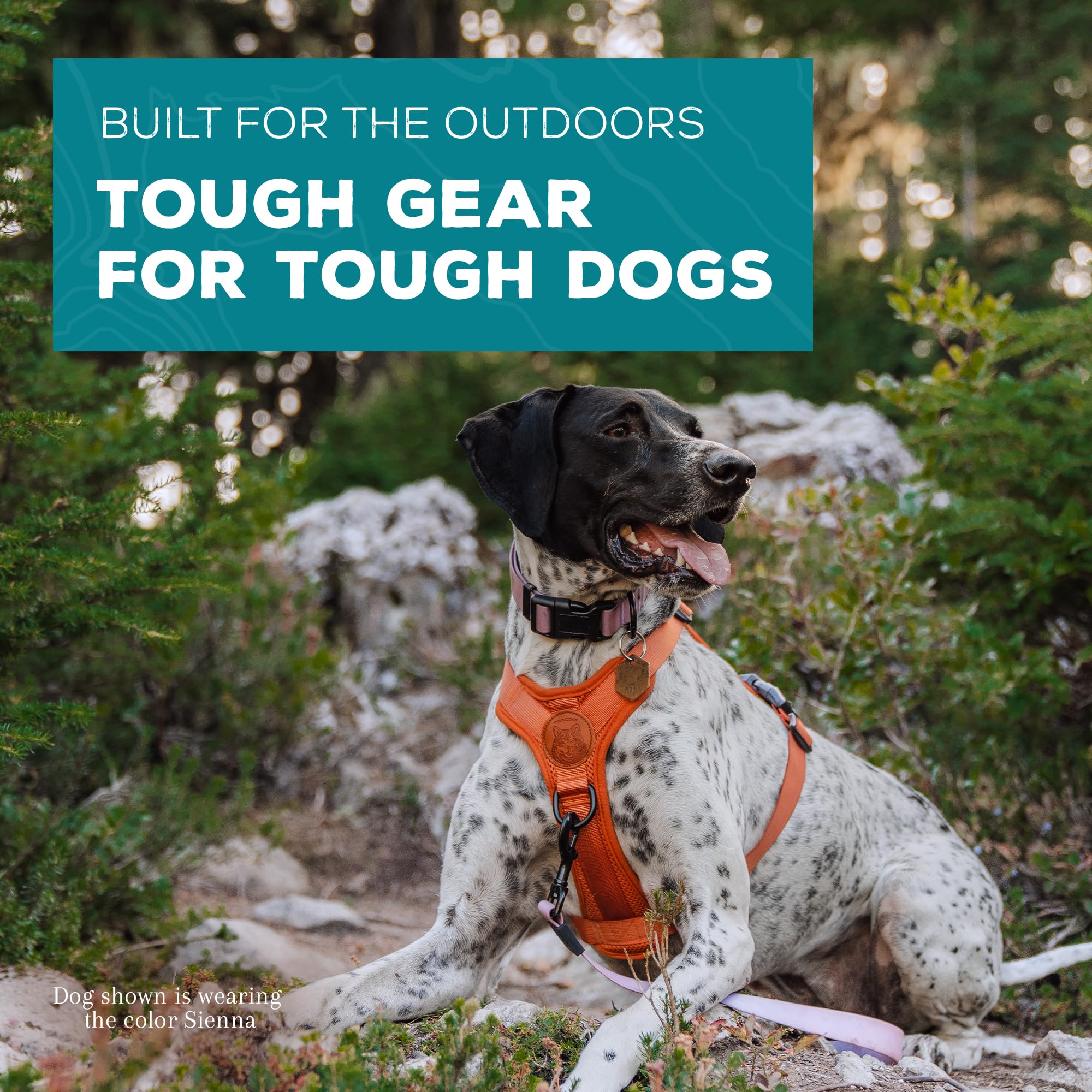 Wilderdog Lightweight Dog Harness With Reflective Straps - Medium - Sienna