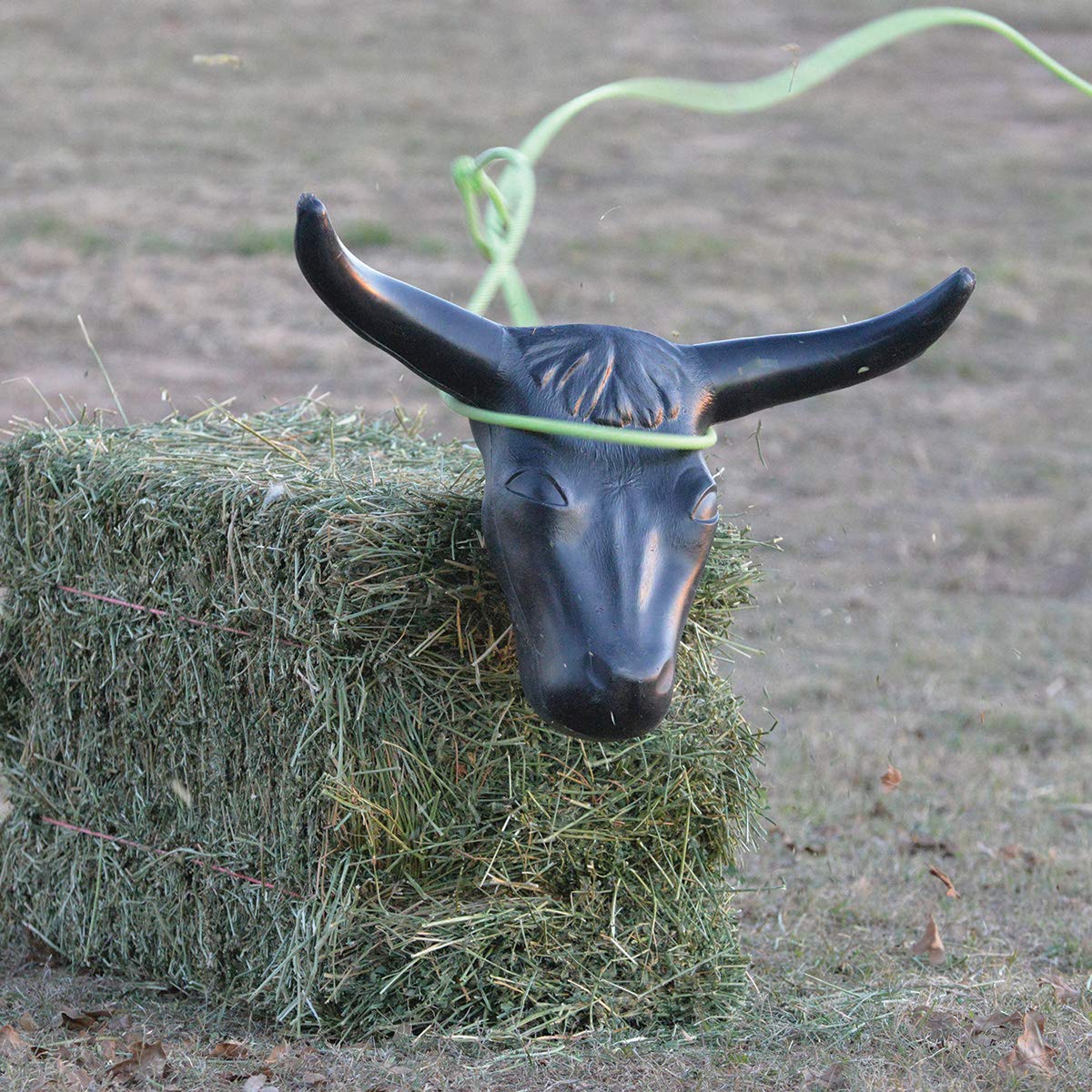 Classic Equine Black Steer Head Western Bull Rodeo