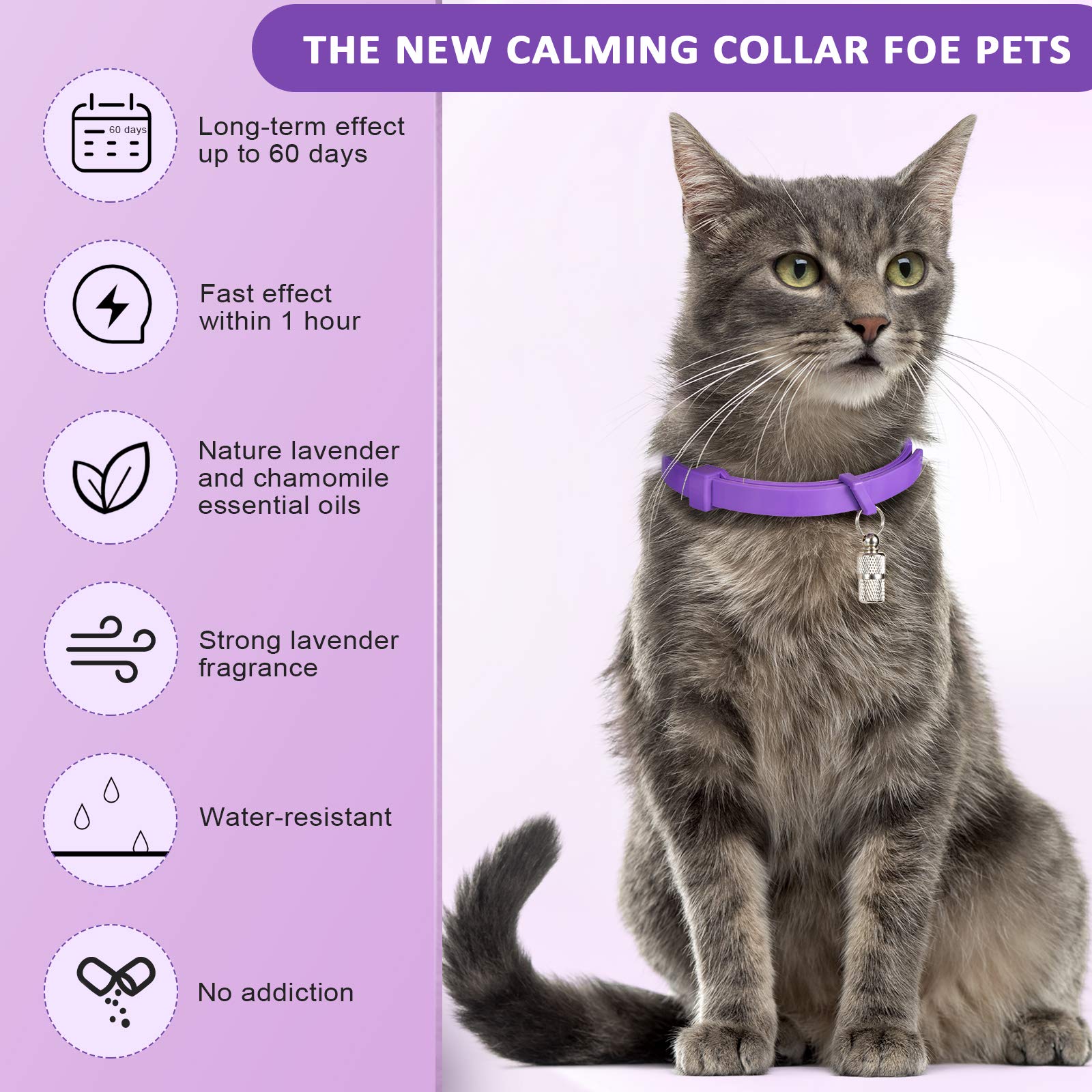Weewooday 5 Set Calming Collar For Cats Adjustable Waterproof Cat Calming Collars Reduce Anxiety Stress Cat Collars With 5 Pet Id Pendants (Purple)