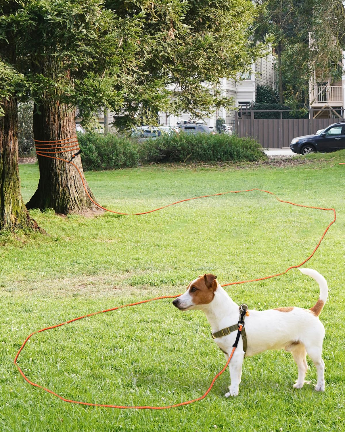 Taglory Dog Tie Out, Long Dog Leash 15Ft 30Ft 50Ft 66Ft, Recall Training Leash With 2 Swivel Hooks For Large Medium Small Dogs W