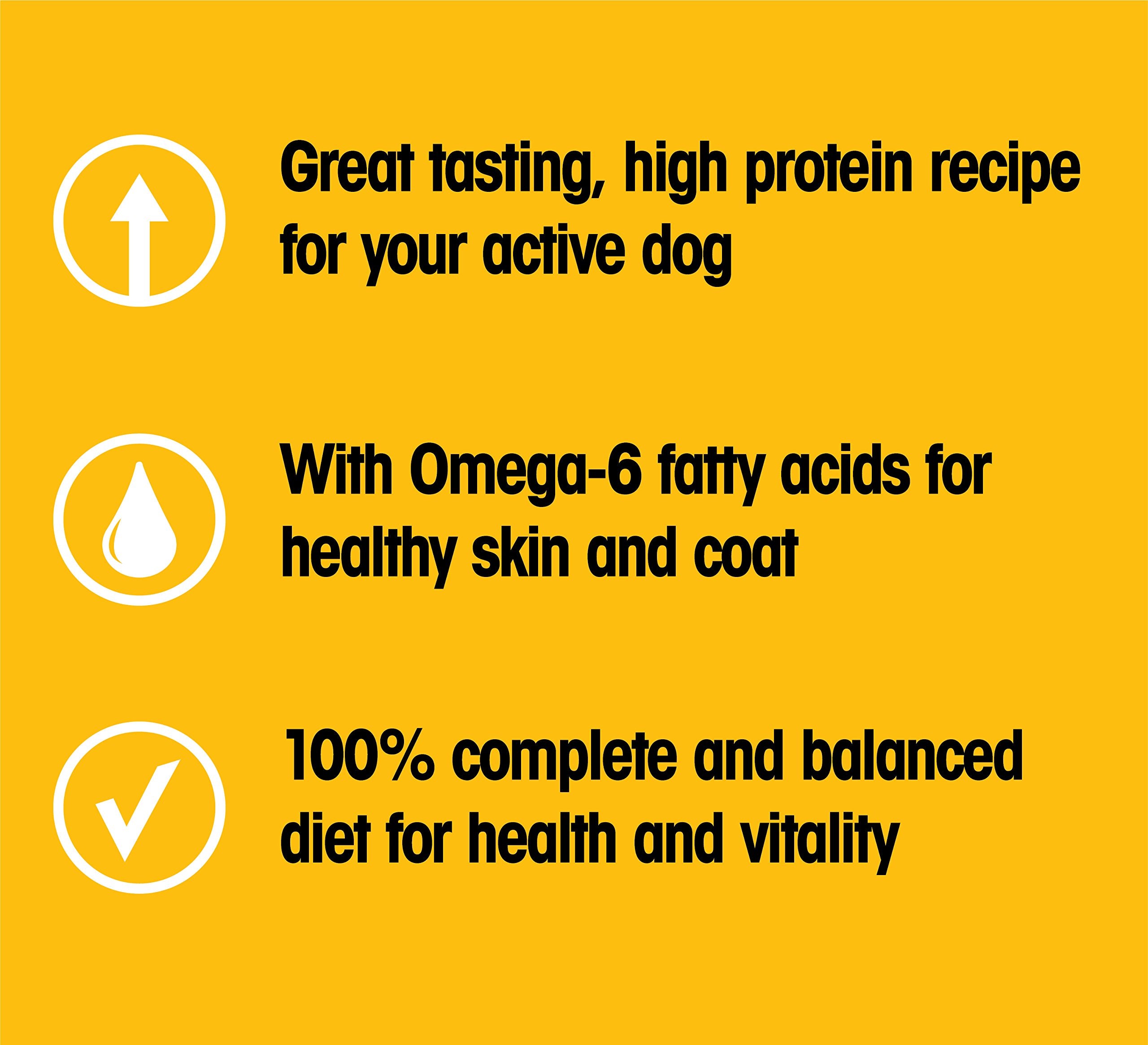 PEDIGREE High Protein Adult Dry Dog Food Beef and Lamb Flavor Dog Kibble, 3.5 lb. Bag