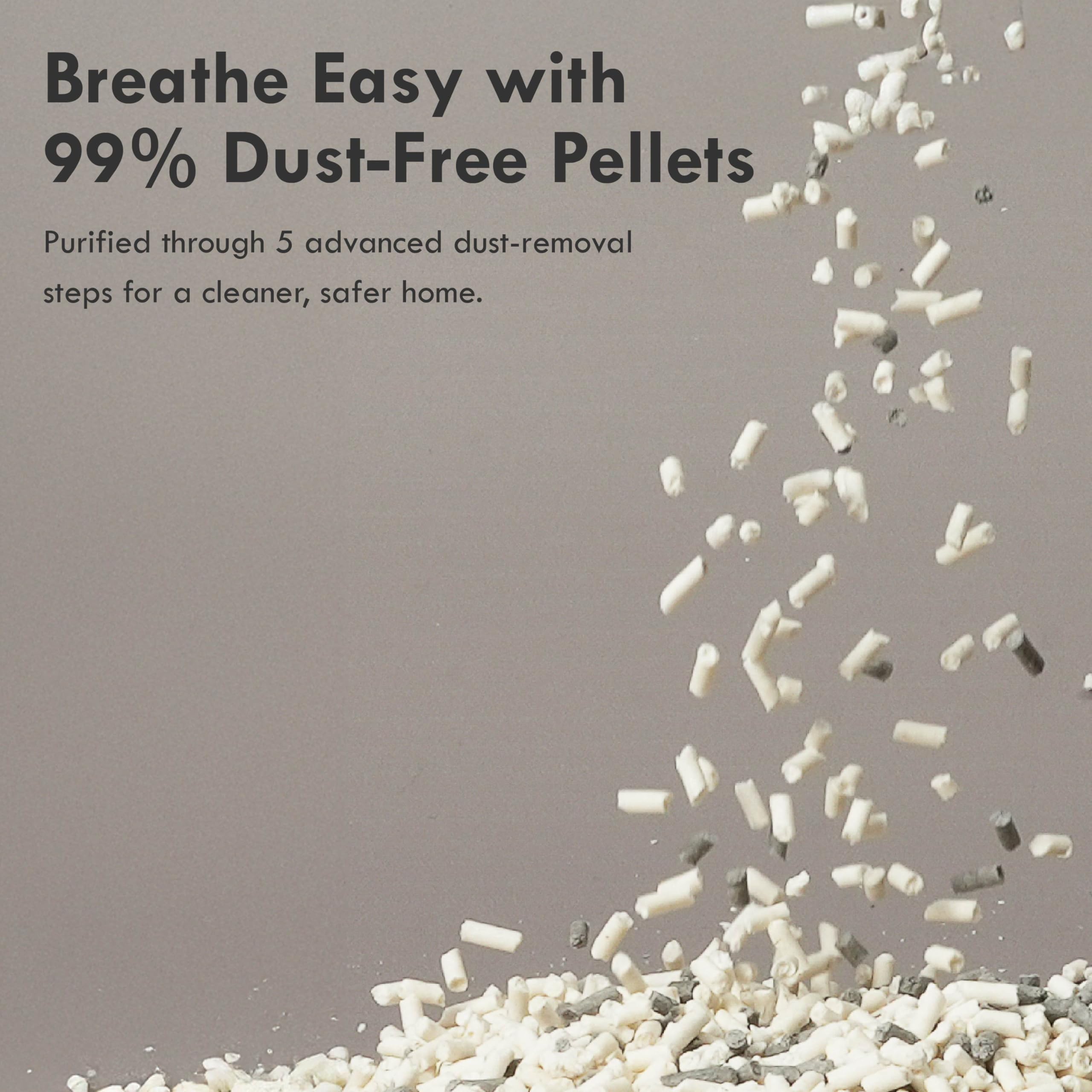 Lady N Pellet Tofu Cat Litter, Strong Clumping, Ultra Absorbent, Dust-Free, Low Tracking, Water-Soluble, Natural Ingredients, En