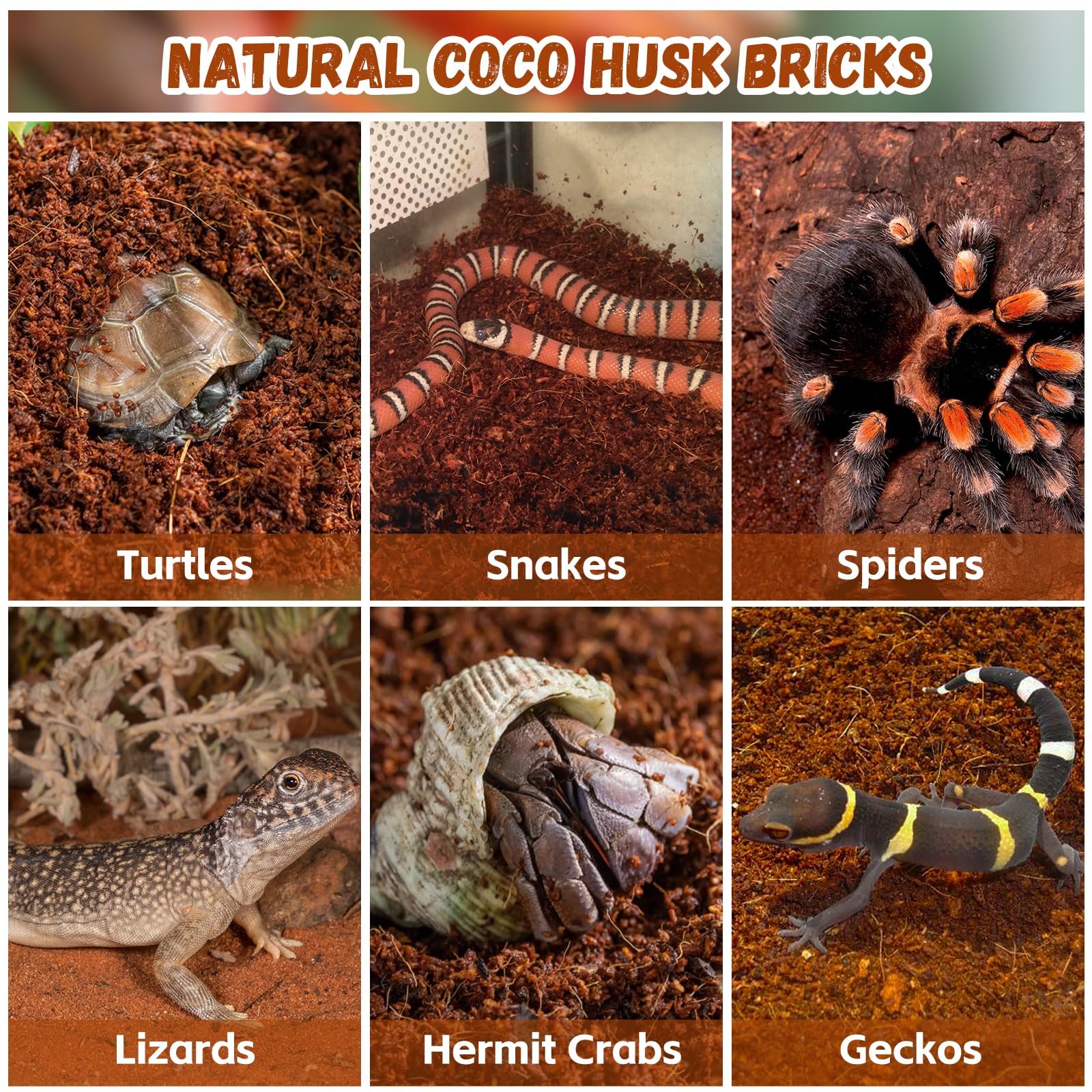 Legigo 6 Pack Organic Coconut Fiber Substrate for Reptiles - Natural Terrarium Bedding, Model L-UK-Pet Brick-6pack