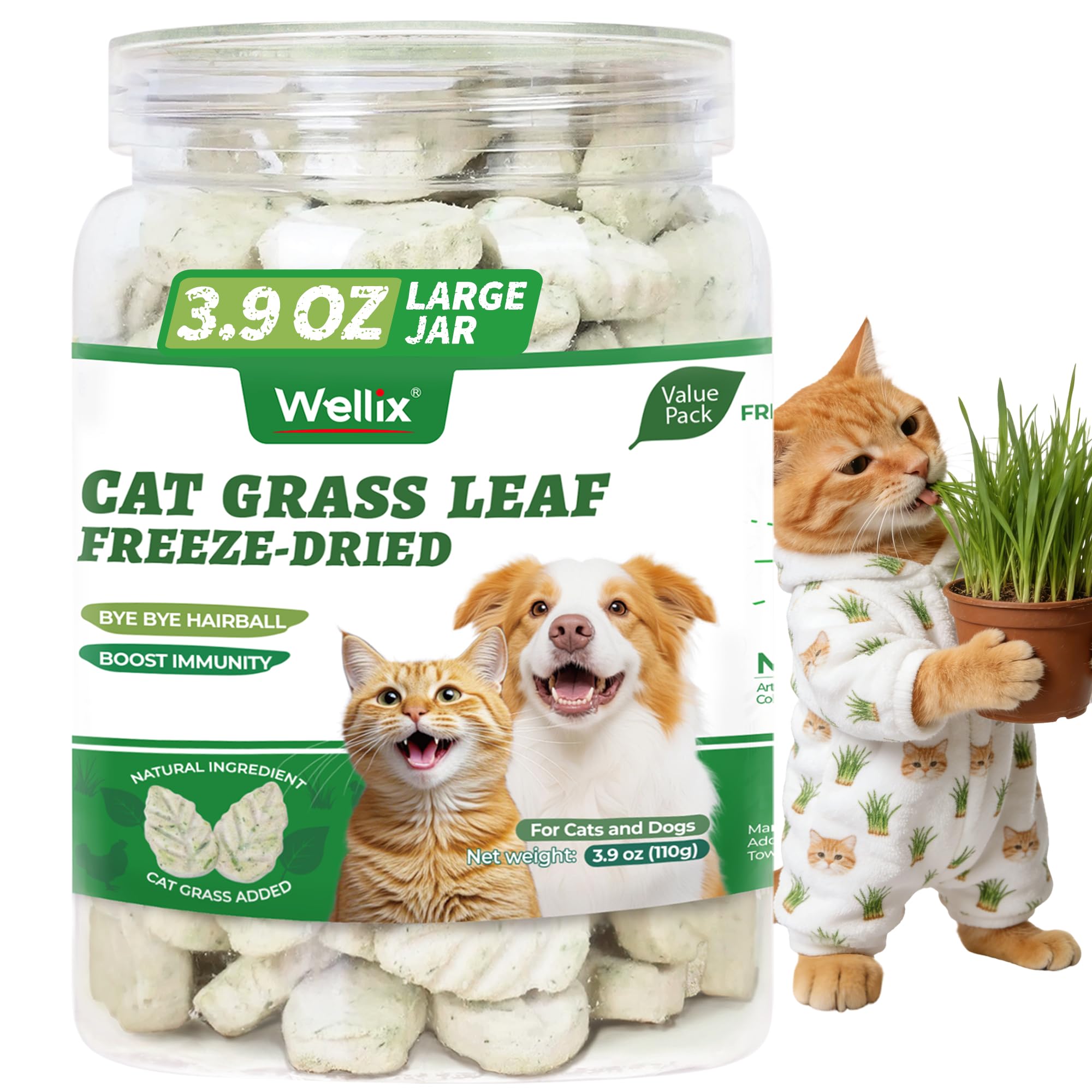 Wellix 3.9oz Leaf Crisps Freezed-Dried Cat Grass Treats - Healthy Cat Treats for Hairball Control & Teeth Cleaning Stick - Kitte