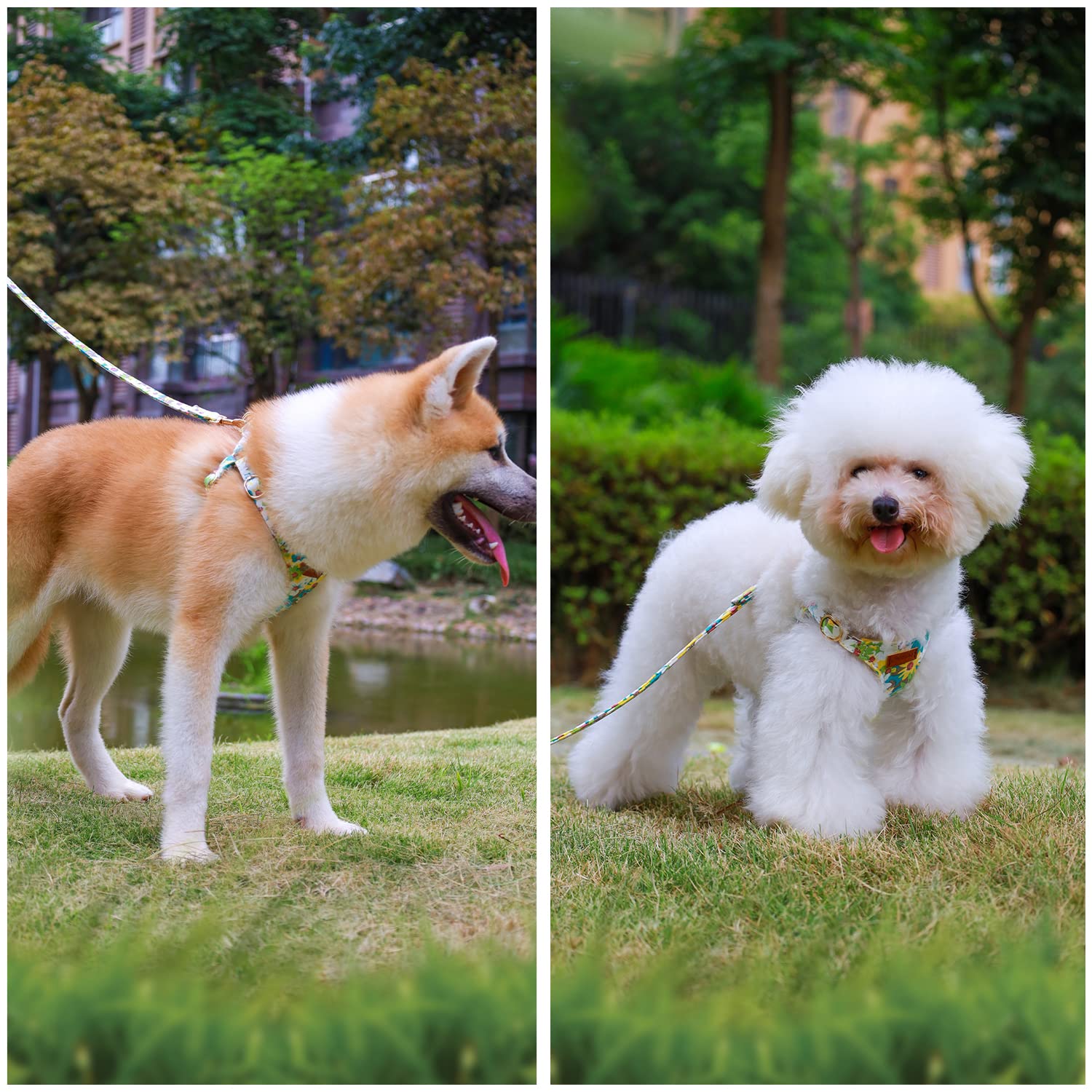 Chede No Pull Floral Pattern Dog Harness- Lightweight And Soft Dog Harness, Adjustable Small Dog Harness And Leash Set, With Dog