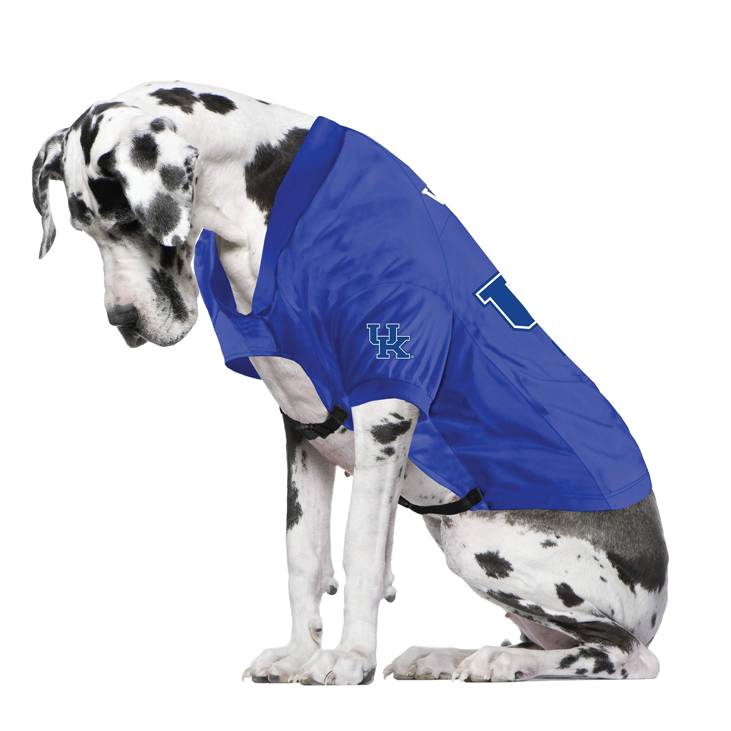 Kentucky Wildcats Pet Jersey Stretch Size Big Dog - Special Order
