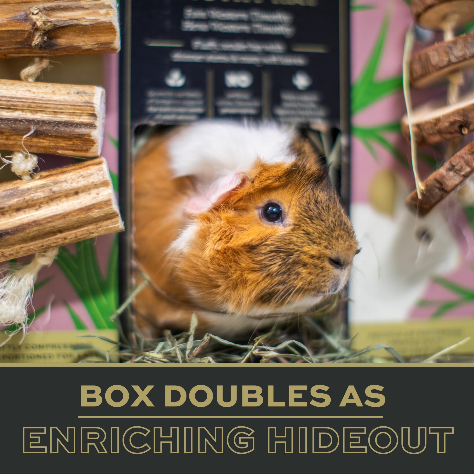 Oxbow Prime Cut Soft & Lush Timothy Hay, Premium Rabbit & Guinea Pig Hay, High Fiber Small Pet Food for Rabbits, Bunnies, Guinea