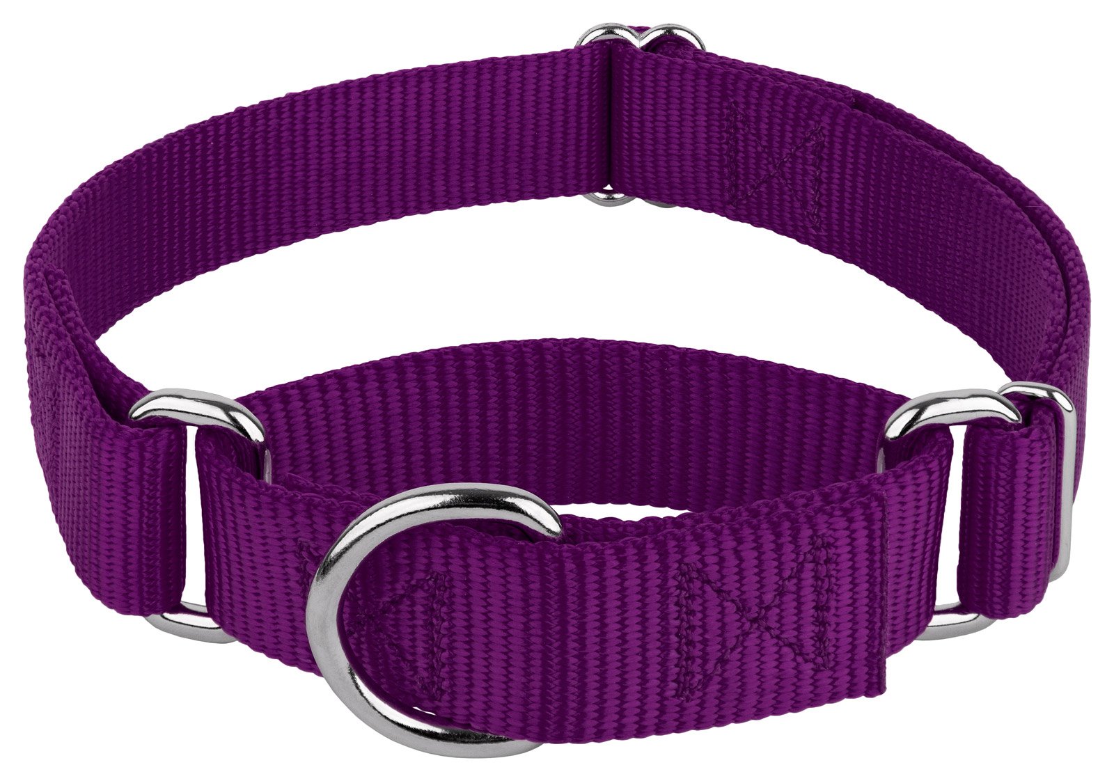 Country Brook Petz - Purple Martingale Heavy Duty Nylon Dog Collar - 21 Vibrant Color Options (1 Inch Width, Extra Large)