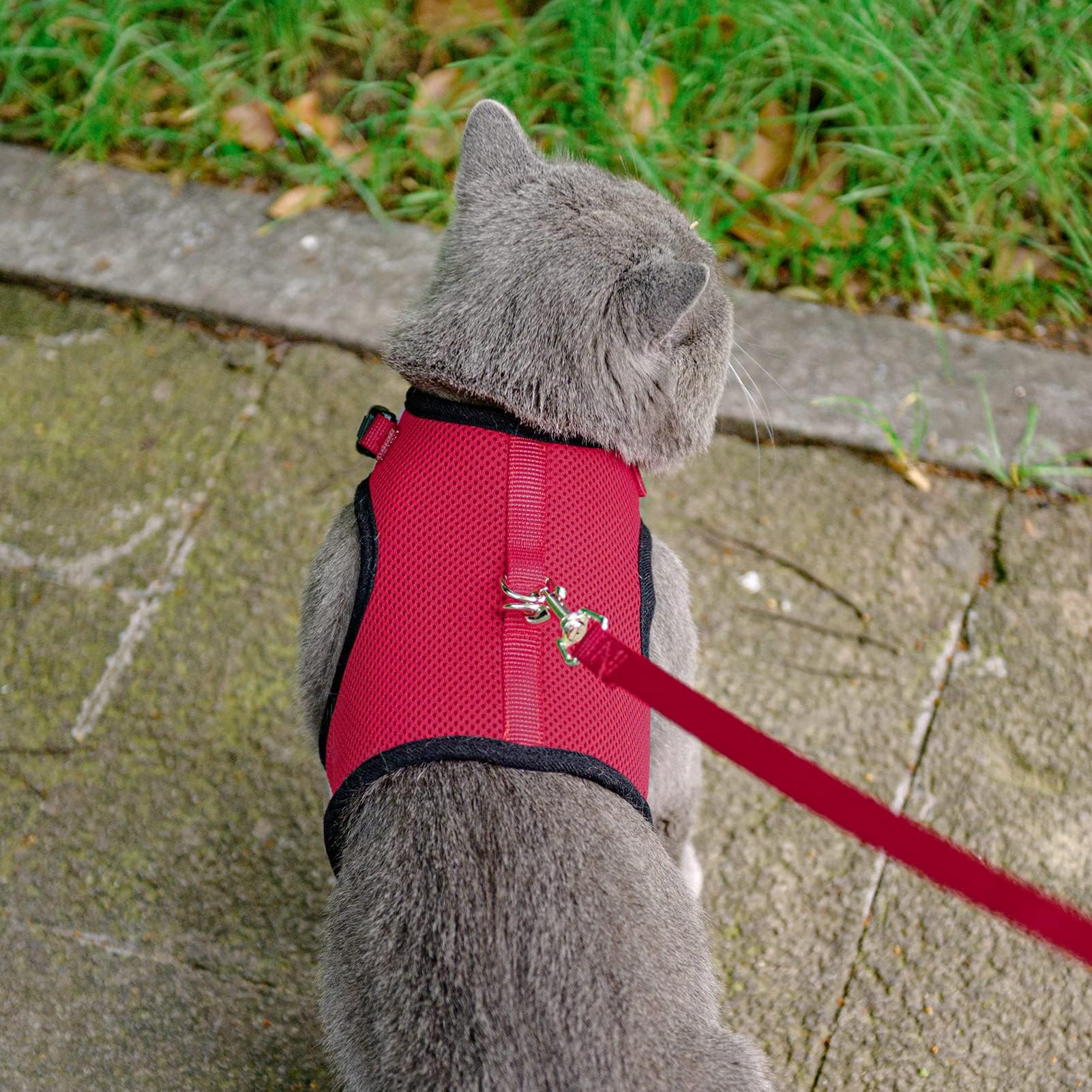 Pupteck Soft Mesh Cat Vest Harness And Leash Set Puppy Padded Pet Harnesses Escape Proof For Cats Small Dogs, Red Large