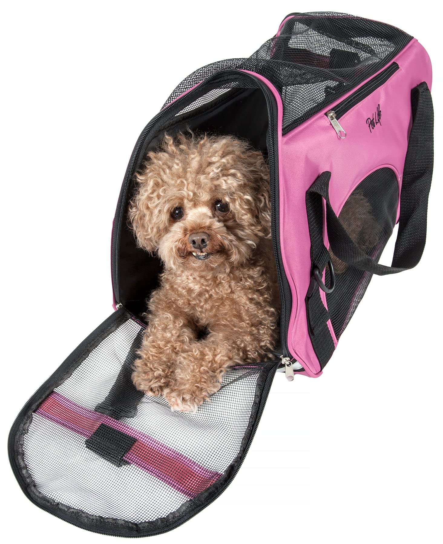 Pet Life 'Altitude-Force' Airline Pet Carrier - Sporty Zippered and Folding Collapsible Travel Cat and Dog Carrier - Travel Pet 