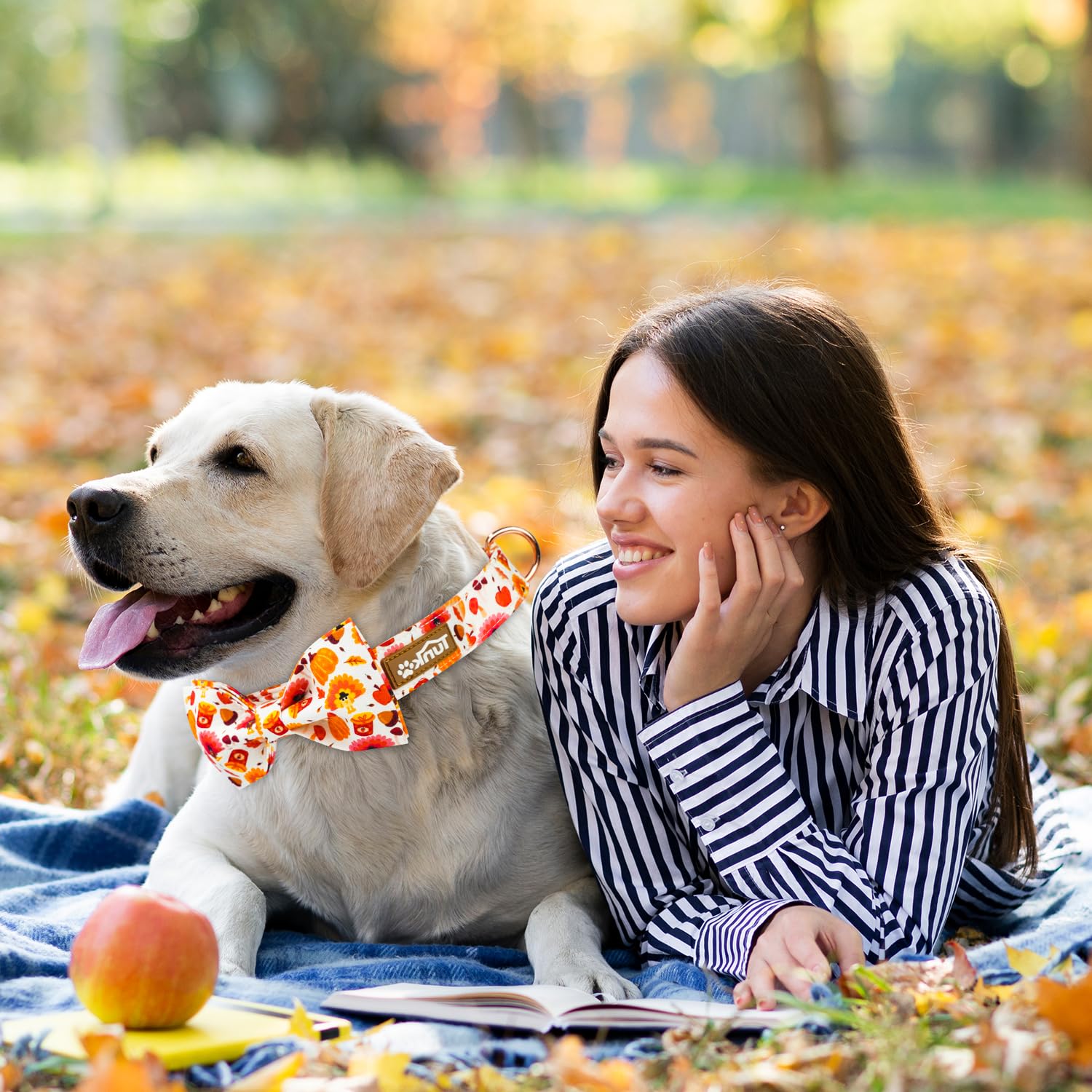 Tunkoo Dog Collar With Cute Bow Tie Pumpkin And Turkey Pattern - Durable, Adjustable And Stylish Thanksgiving Pet Collar, Availa