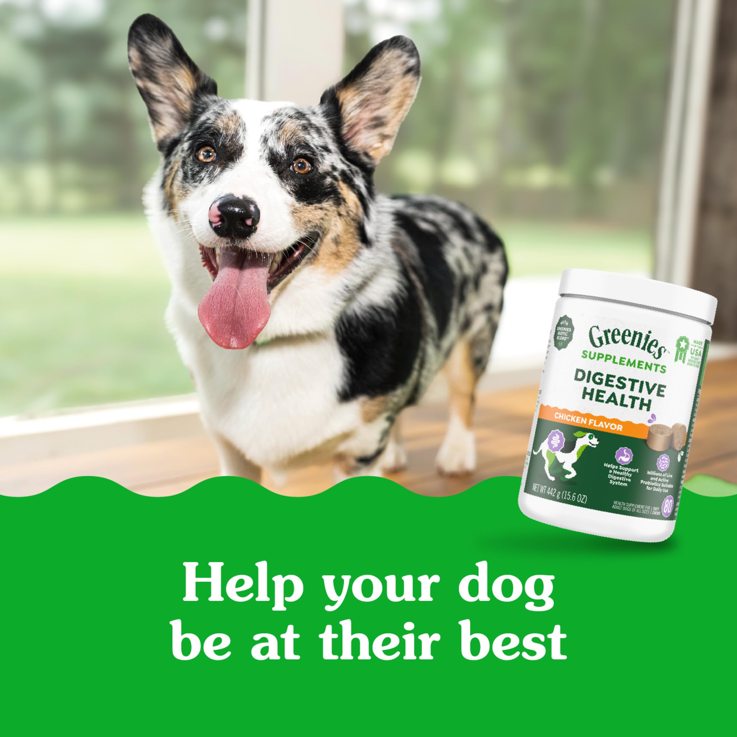 Greenies Supplements Digestive Health Probiotics for Dogs Chicken Flavor, 15.6 oz. Tub of 80 ct.