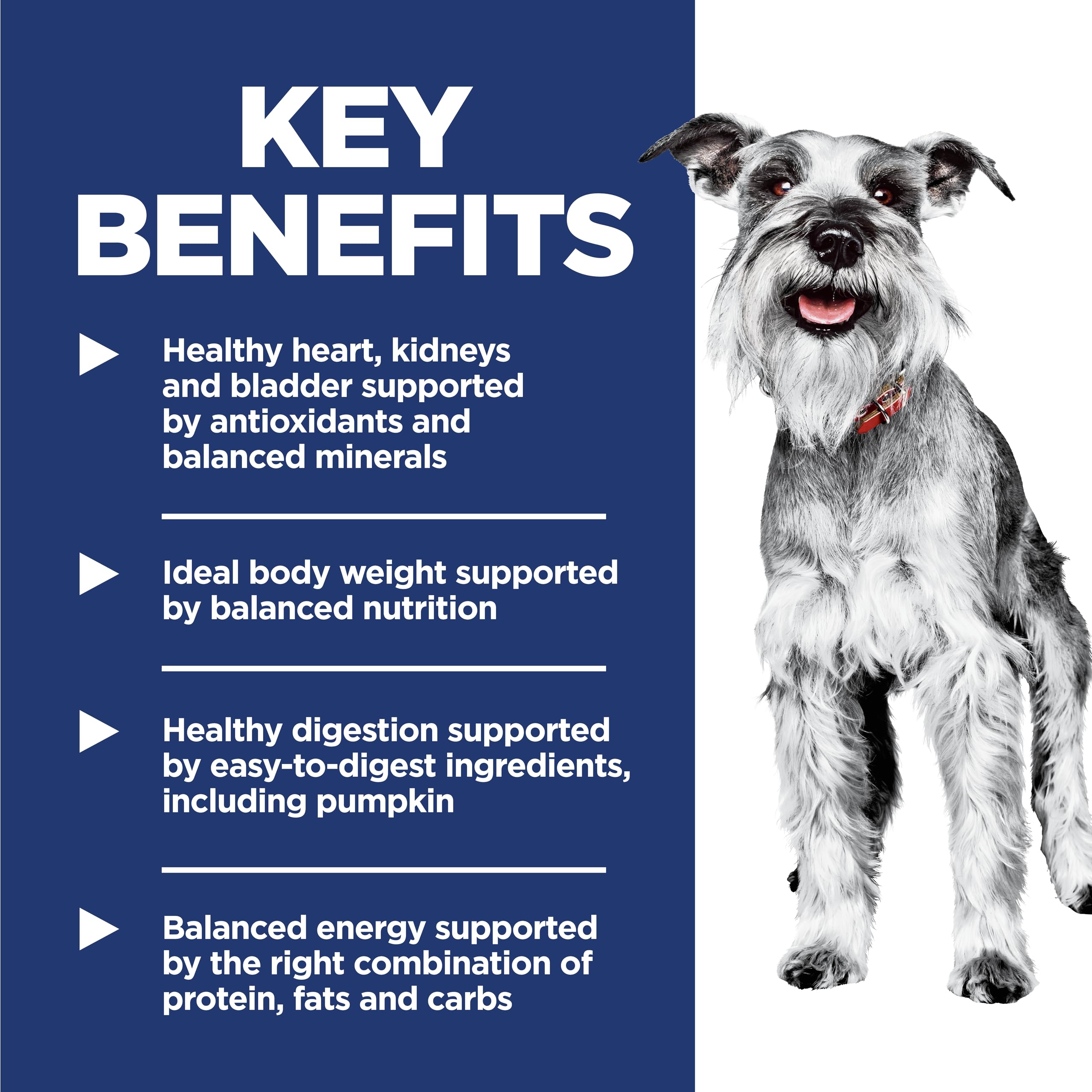 Hills Science Diet Adult 7+ Small & Mini Chicken Meal & Brown Rice Recipe Dry Dog Food 15.5 lbs.