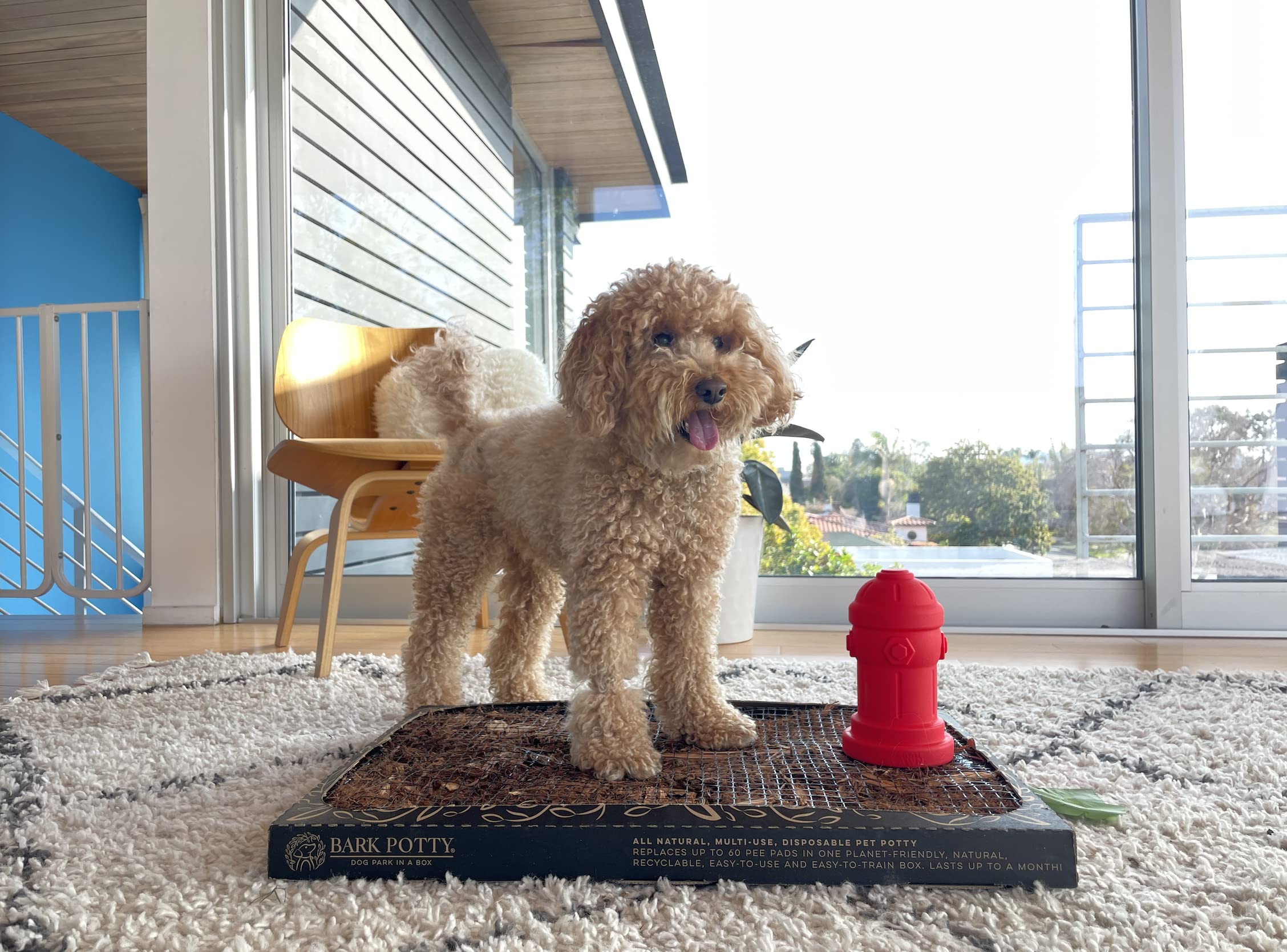 Bark Potty Silicone Potty Training Dog Fire Hydrant - 4"x7", Red, Model 7insiliconehydrant