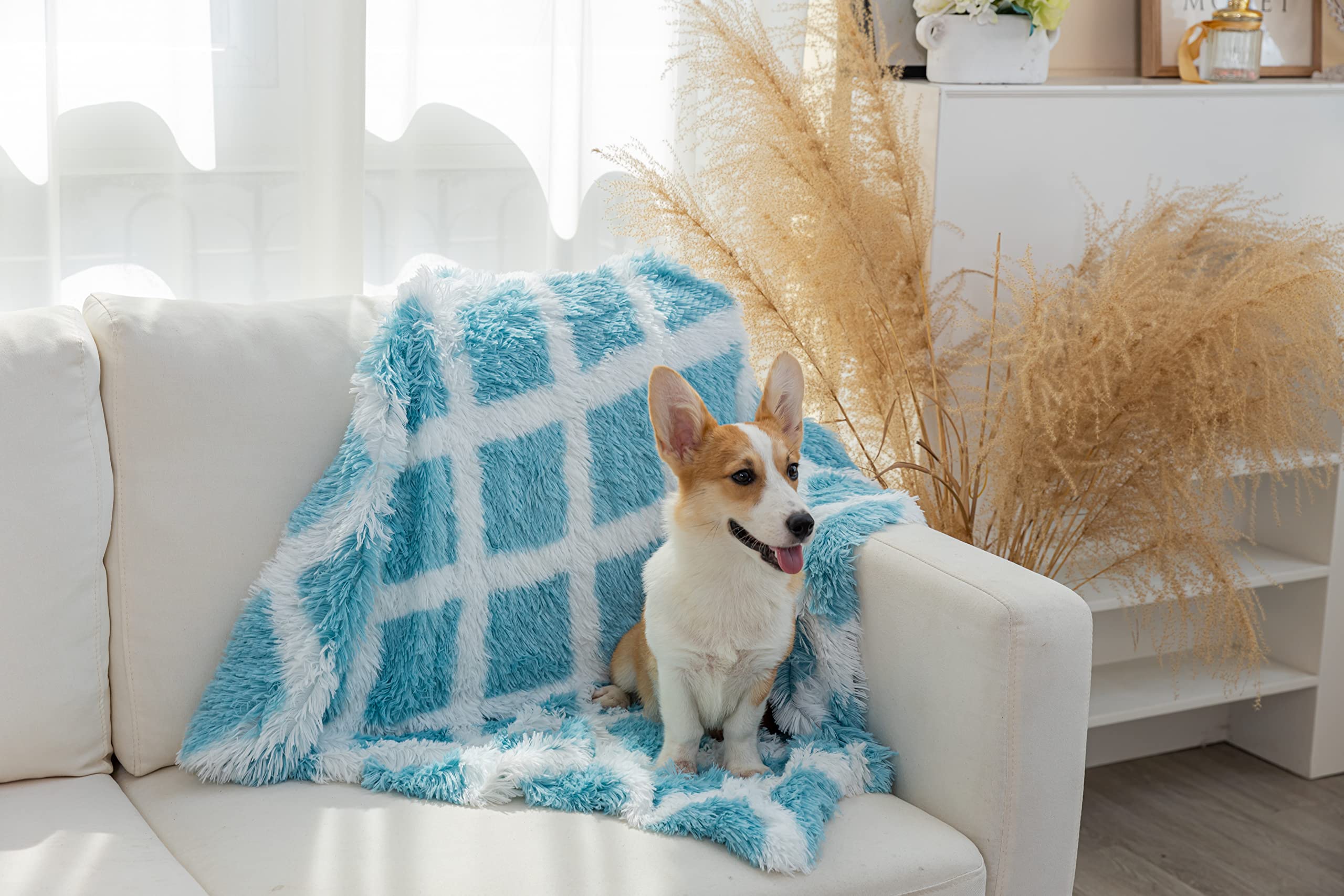 Pjyucien Fluffy Fleece Calming Pet Throw Blanket, Super Soft And Warm For Indoor Cats And Dogs, Large 30 * 40', Machine Washable, Blue Diamond Pattern, White Puppy Blanket