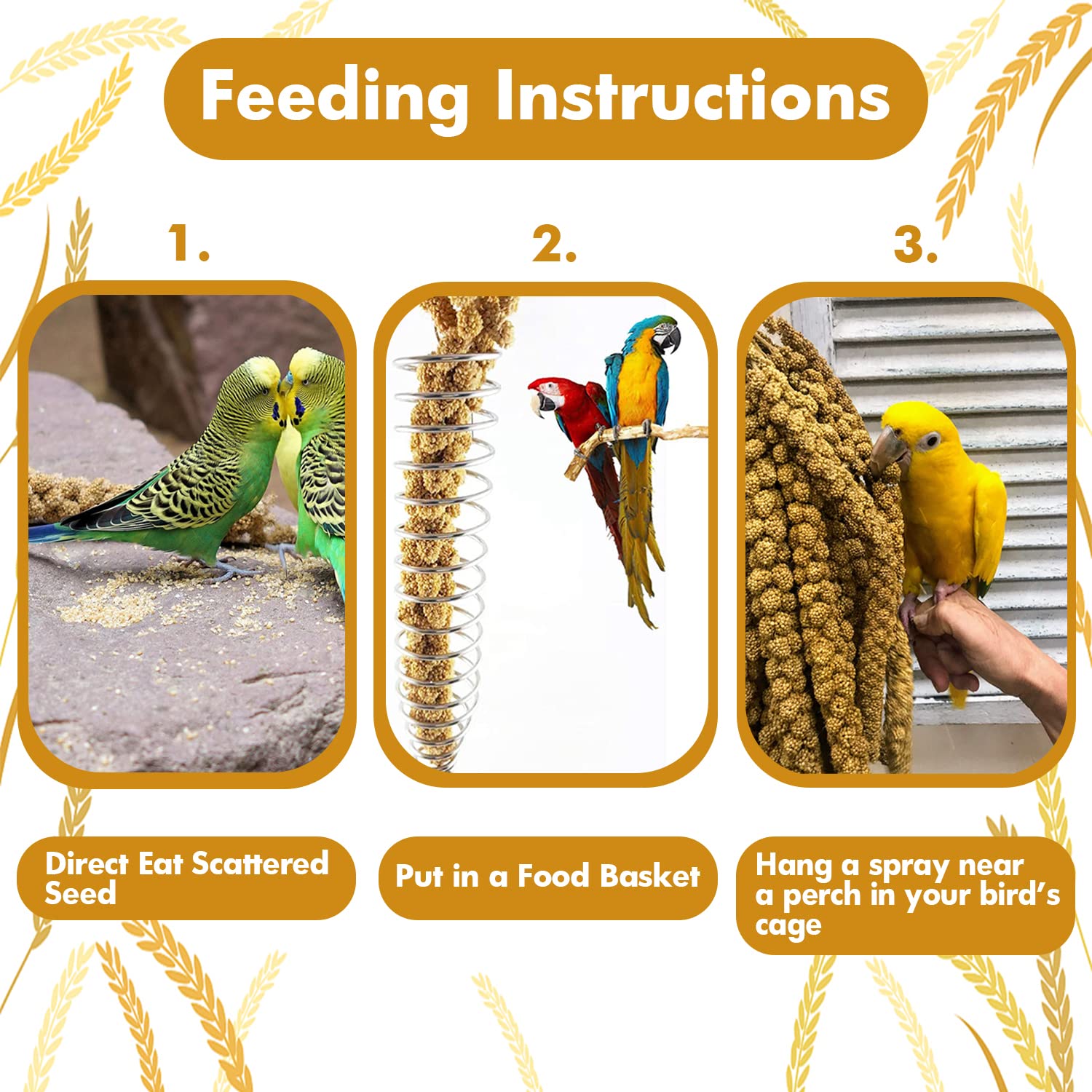 Jmxus 1LB Spray Millet Treat for Birds Parakeets, Natural Sun-Dried Birds Millet for Cockatiel, Budgie, Finches, Parrots, Hamst
