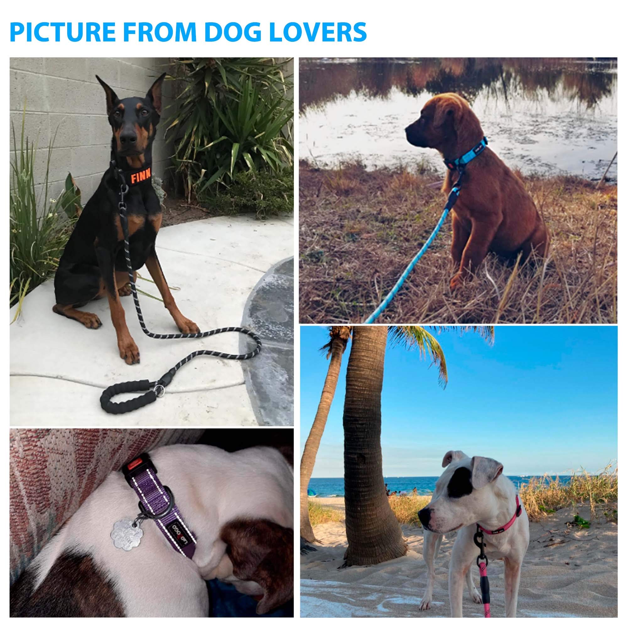 Ladoogo Heavy Duty Dog Leash - Comfortable Padded Handle, 5 Ft Long - Dog Leashes For Small Medium Large Dogs (Leash+Collar M Neck 16'-20', Blue)