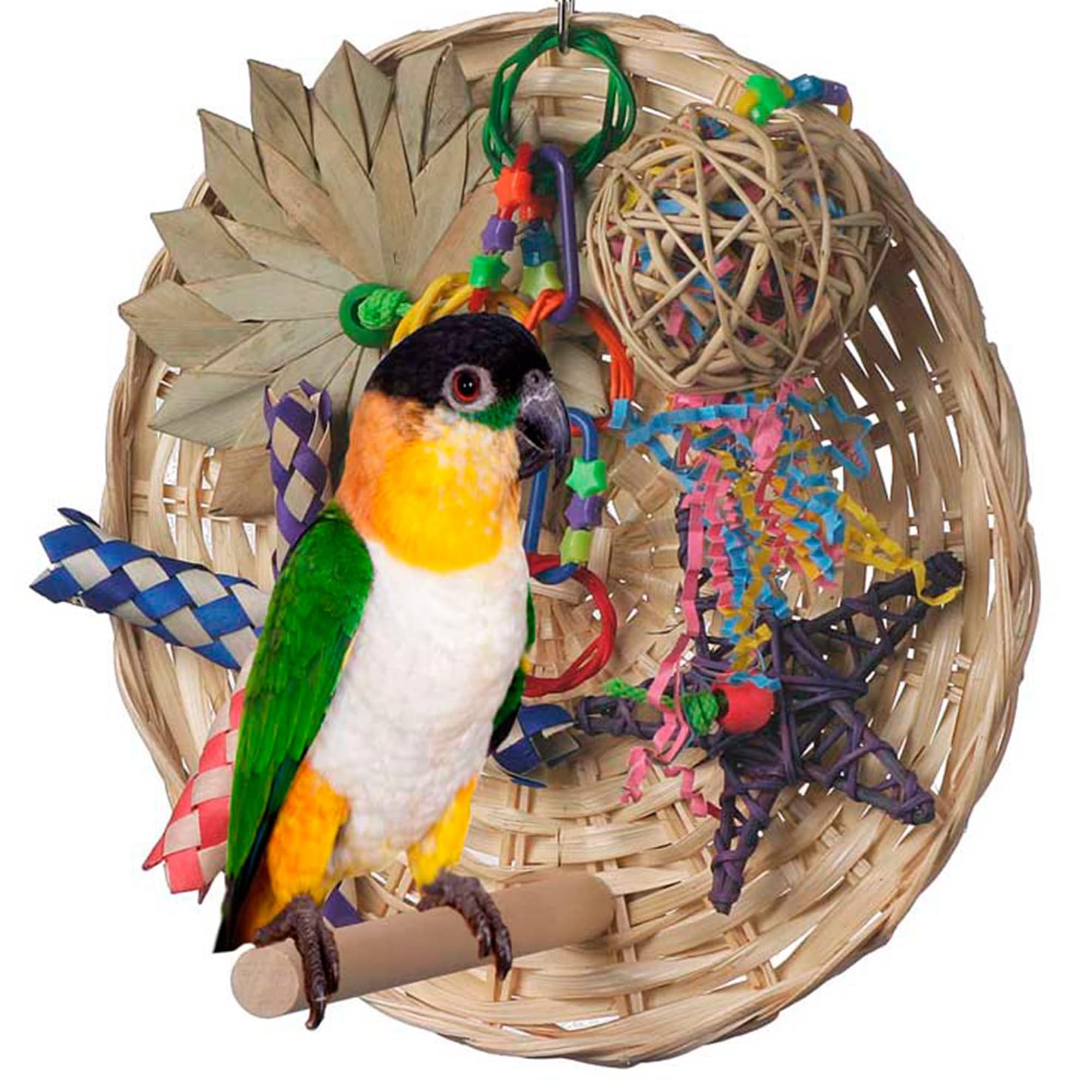 Super Bird Creations Sb543 Busy Birdie Play Perch - Foraging Bird Toy, Small & Medium Bird Size - Parakeets, Cockatiels, Small Conures - Interactive Elements - Stimulating Playtime - 9.5' X 9.5' X 6'
