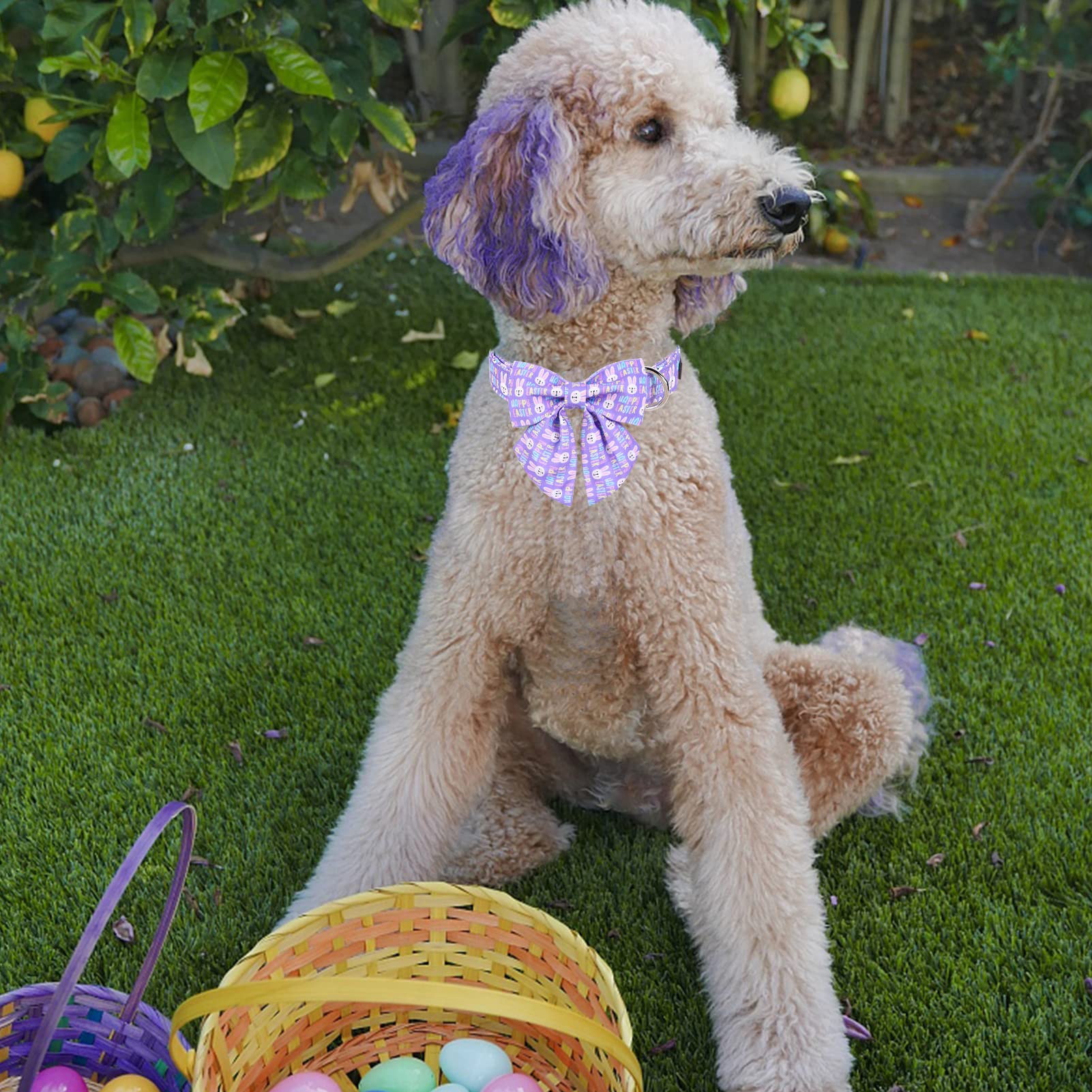 Mr. Chubbyface Easter Dog Collar Purple Rabbit Dog Collar With Flower Adjustable Dog Collar Bowtie For Small Medium Large Dogs