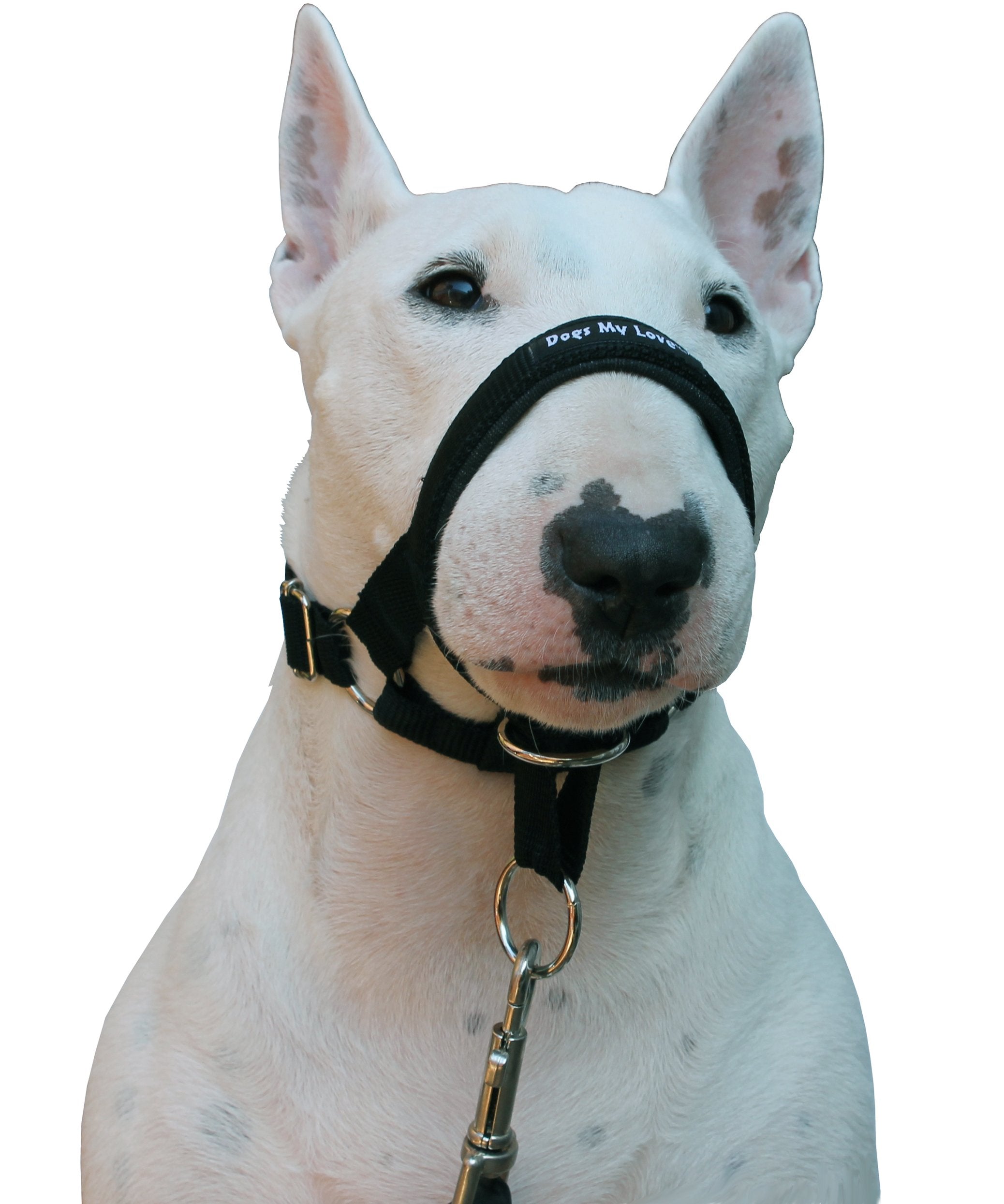 Dog Head Collar Halter Black (L 10.25Inch12.25Inch Snout)