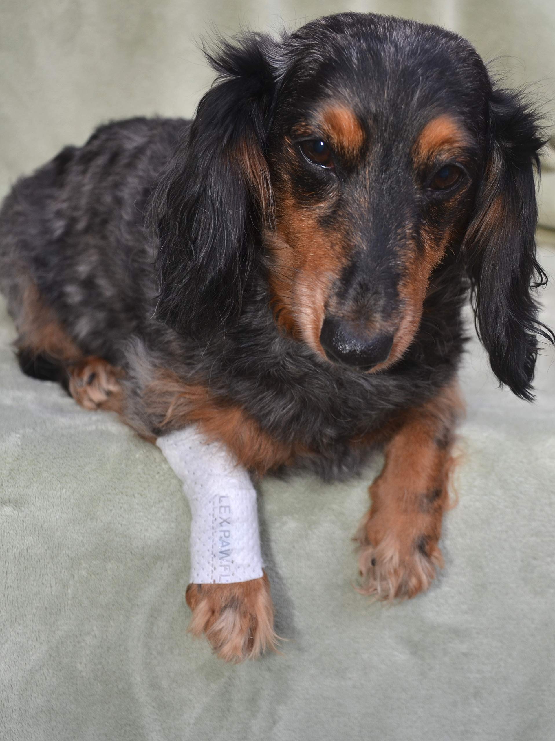 PawFlex Protective Sleeve Tubular Cover - Bandages - for Dogs Cats & Other Pets First Aid Wound Care Non-Adhesive Disposable Bre