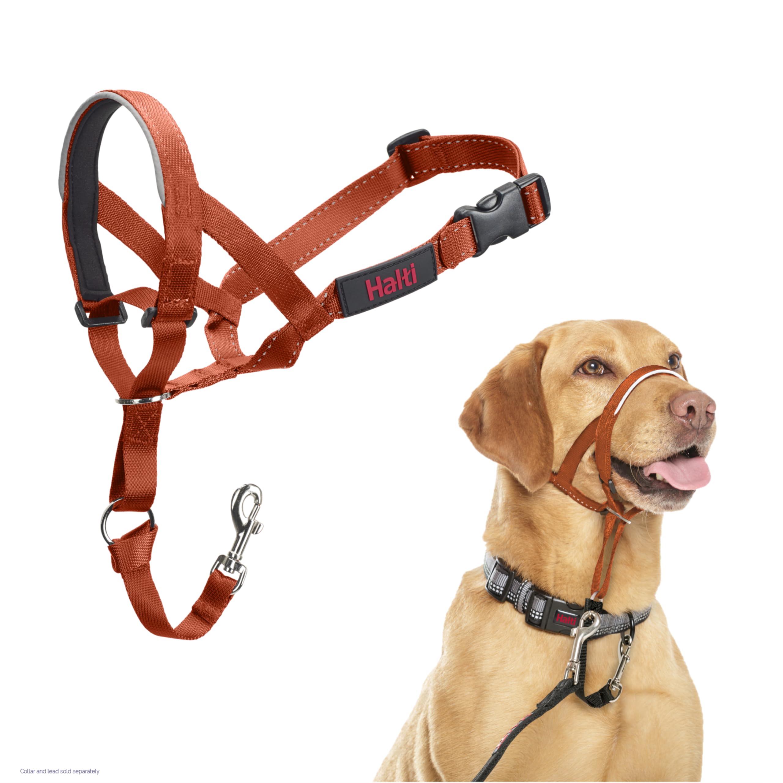 HALTI Headcollar - to Stop Your Dog Pulling on The Leash. Adjustable, Reflective and Lightweight, with Padded Nose Band. Dog Tra