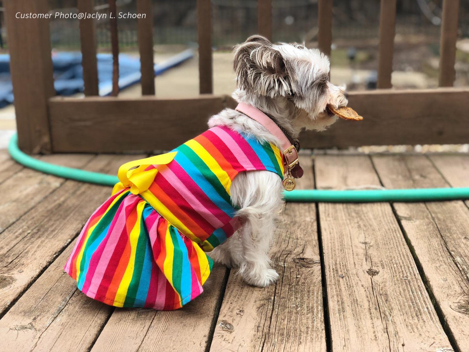 Fitwarm Rainbow Striped Dog Dress, Summer Dog Clothes for Small Dogs Girl, Pet Cat Outfit, 100% Breathable Cotton, Red Yellow Bl