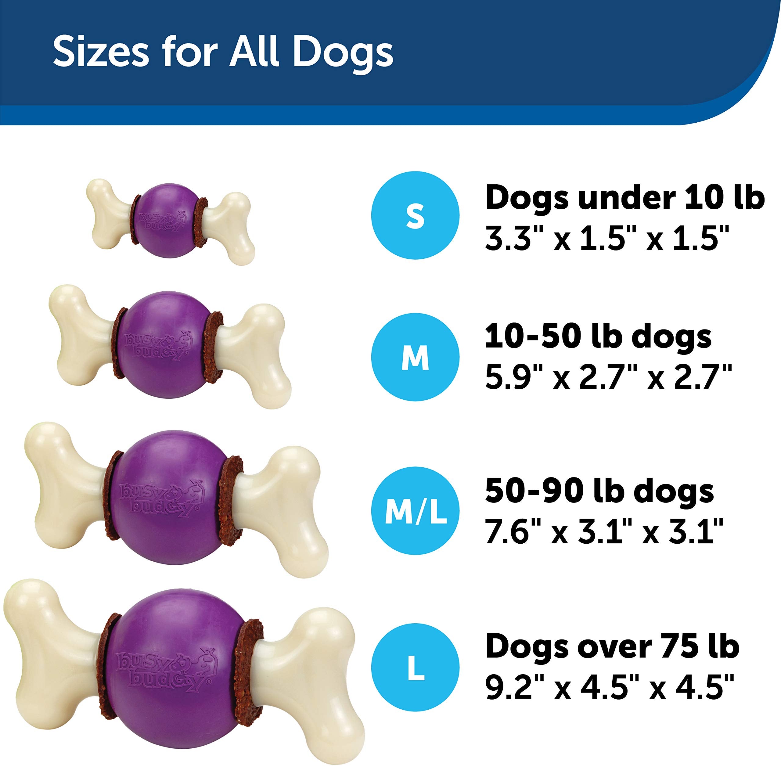 Petsafe Busy Buddy Bouncy Bone- Treat-Holding Toys For Dogs- Scented For Enhanced Sensory Stimulation- Rigorously Tested Ingredients- For Aggressive Chewers- Treat Refills Available- Purple, M/L