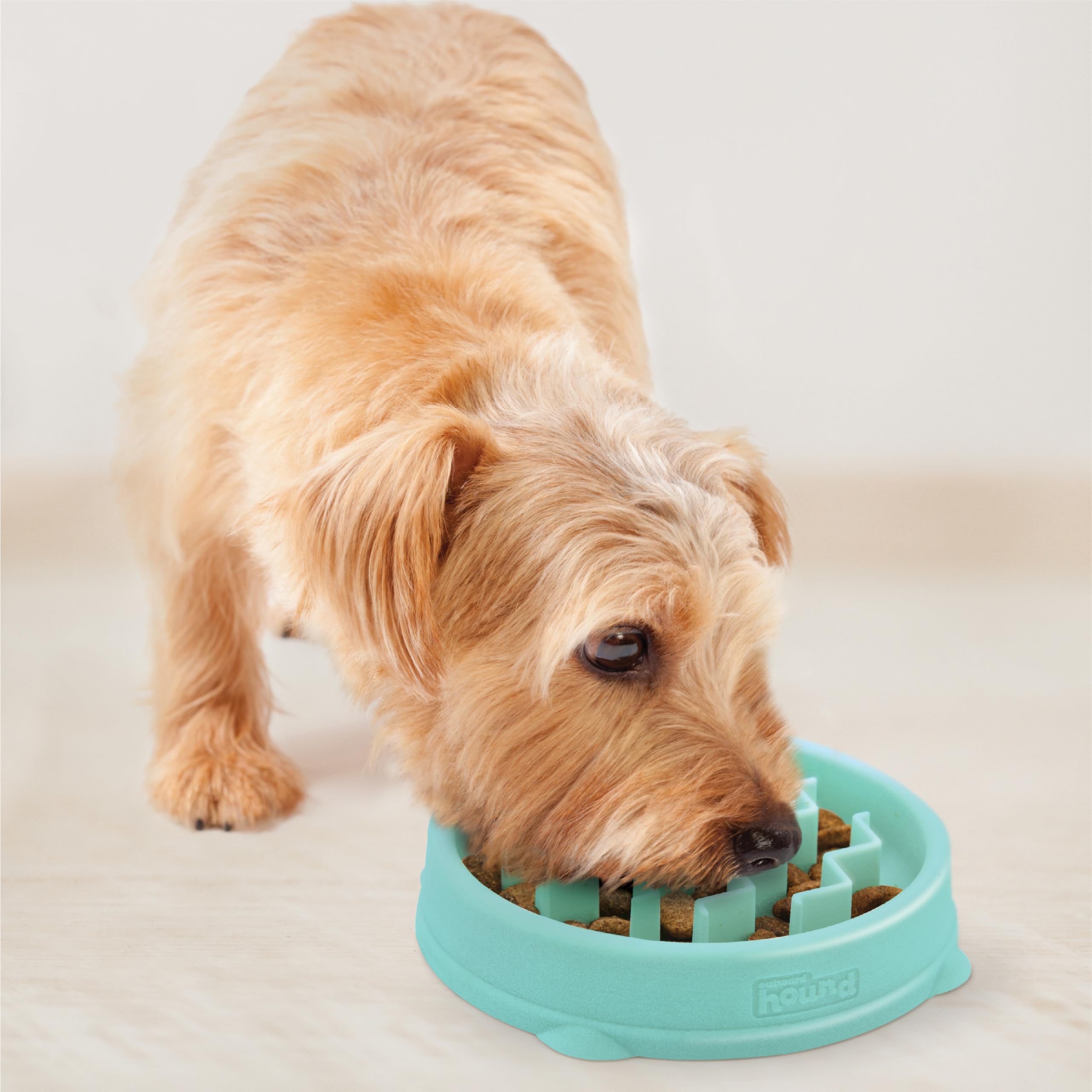 Outward Hound Small Fun Feeder Slow Bowl, Puzzle for Fast Eaters, Puppies, Cats & Small Dogs, Wet or Dry Food, Helps Prevent Blo