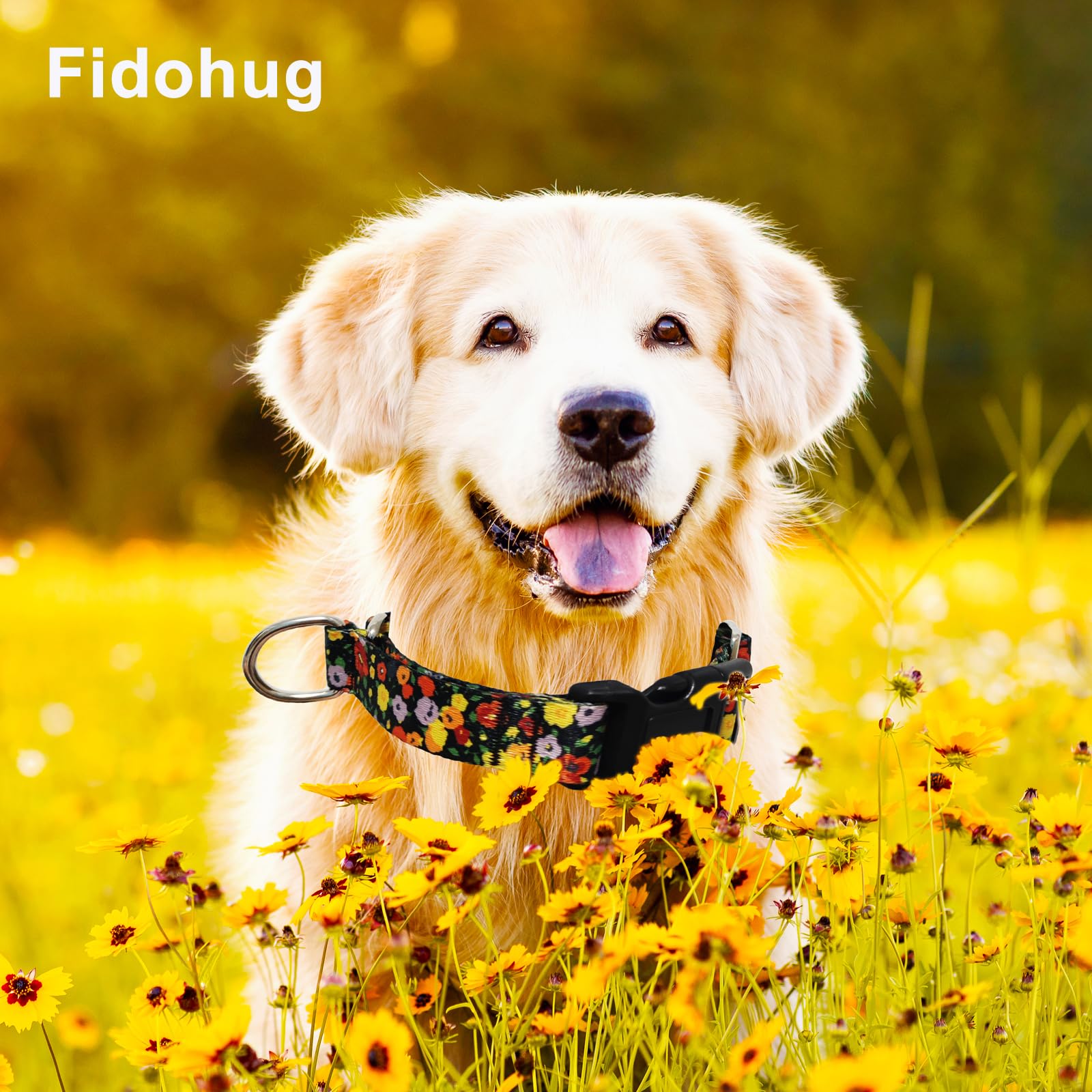 Fidohug Martingale Collar For Dogs With Buckle Adjustable Nylon Limited Slip Training Dog Collars (Orange Floral, Medium)