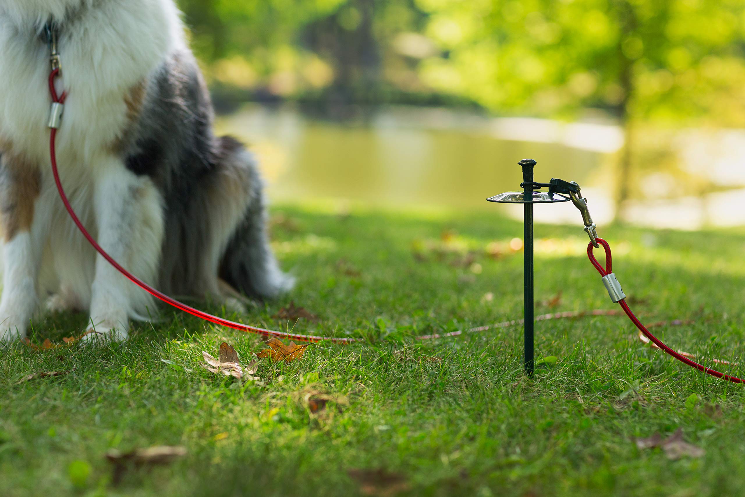 Prevue Pet Products 2122 Heavy-Duty 20' Tie-Out Cable