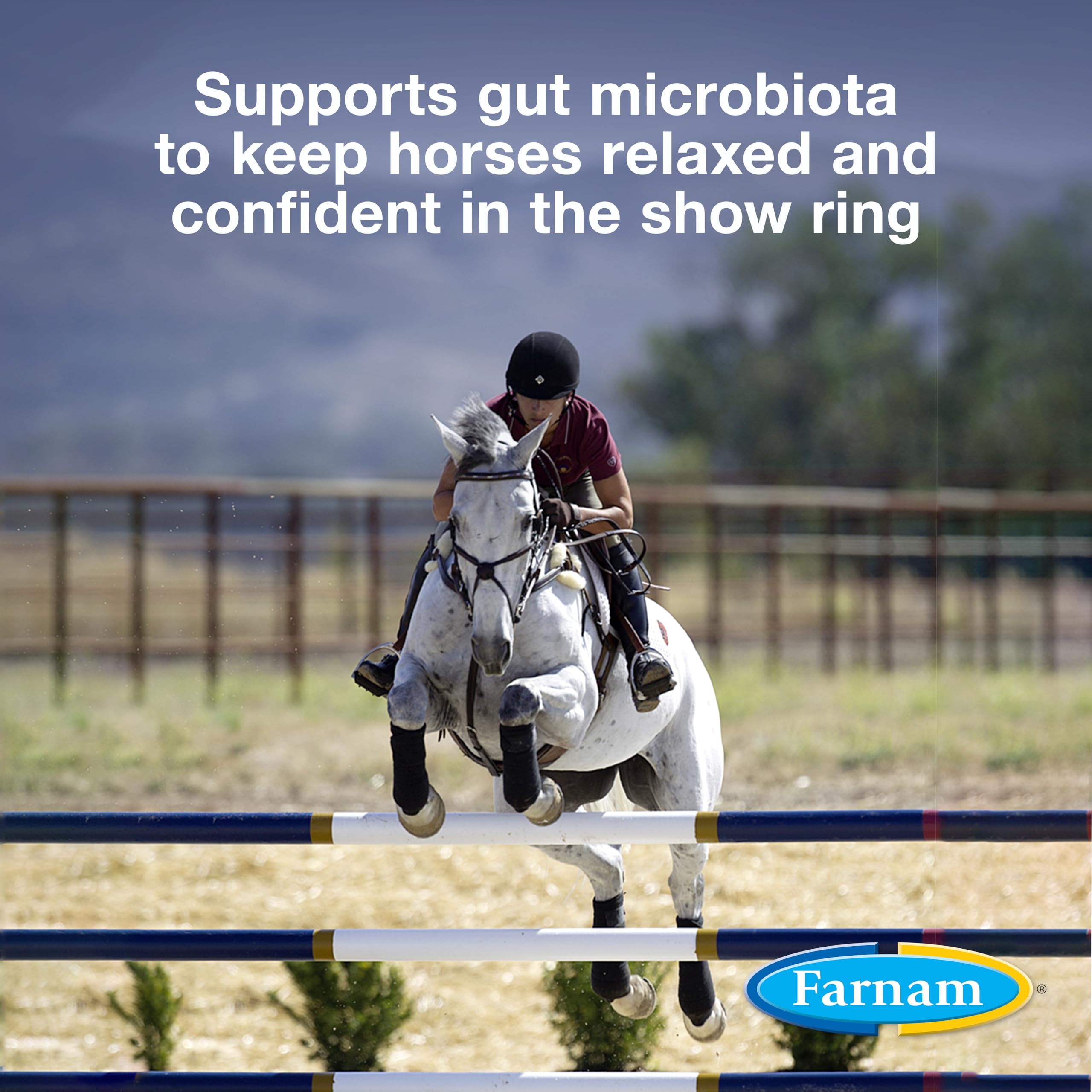 Farnam Quietex Show Pellets, Helps Keep Horses Calm & Relaxed That Become Nervous in The Show Ring 3.75 lbs.