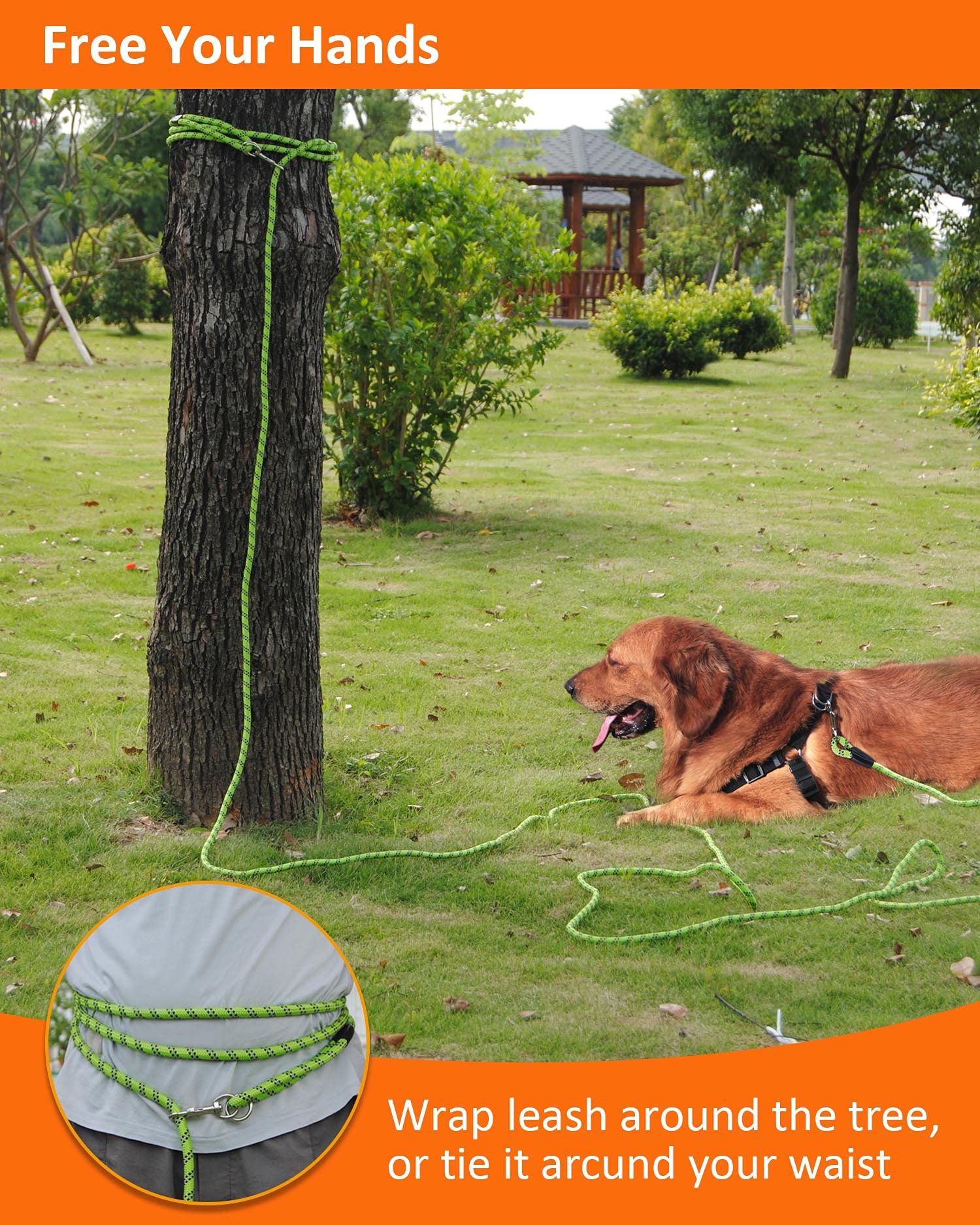 100Ft Extra Long Dog Leash For Dog Training, Reflective Threads Check Cord Dog Leash, Heavy Duty Dog Lead For Large Medium Small