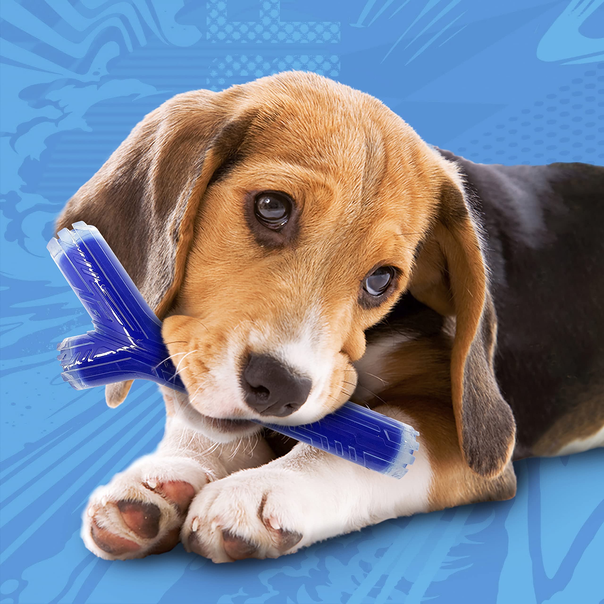 Nerf Dog 10In Tpr/Pp Scented Peanut Butter Superscent Stick Solid Core -Clear/Blue, (Nf-7133)