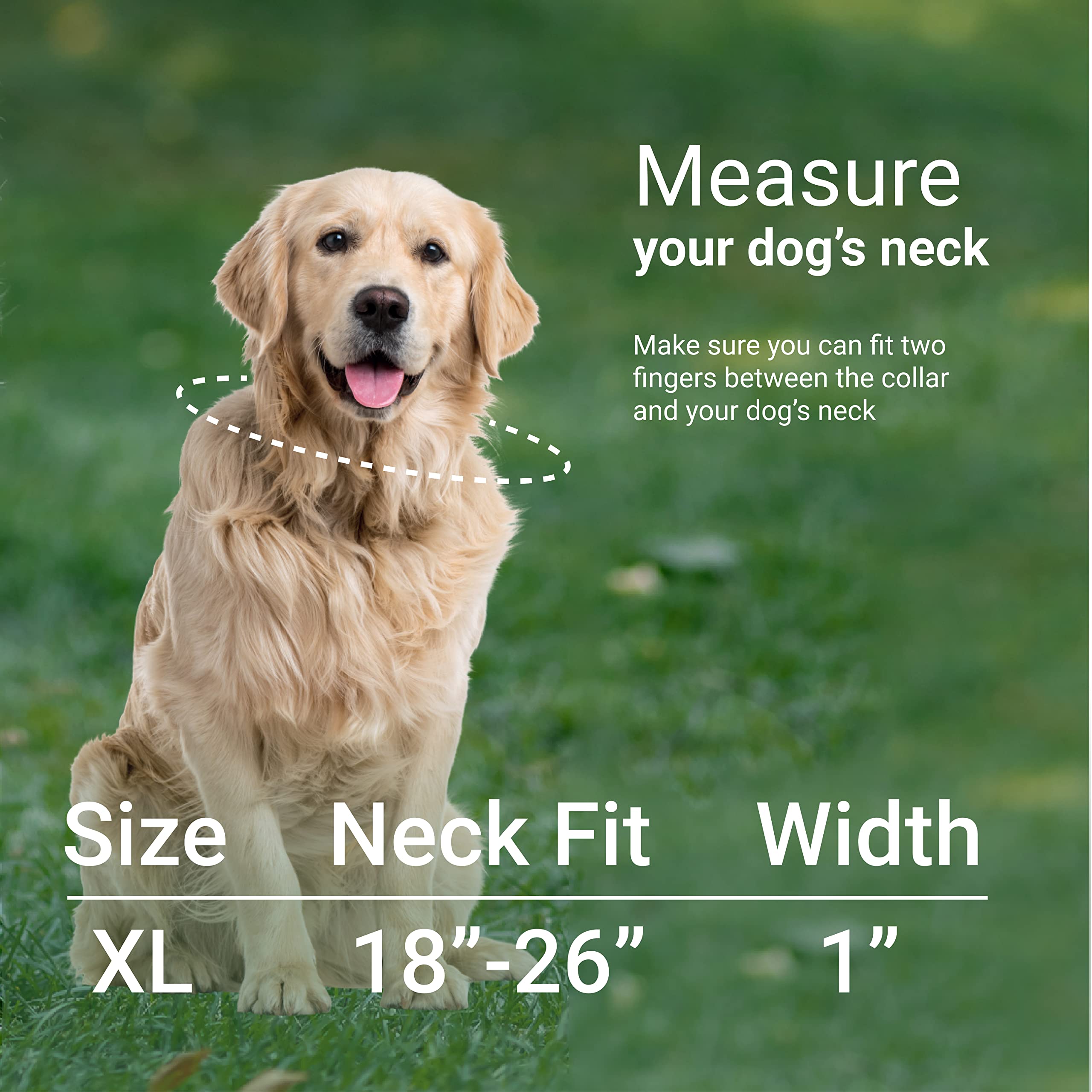 Collardirect Reflective Dog Collar For A Small, Medium, Large Dog Or Puppy With A Quick Release Buckle - Boy And Girl - Nylon Su