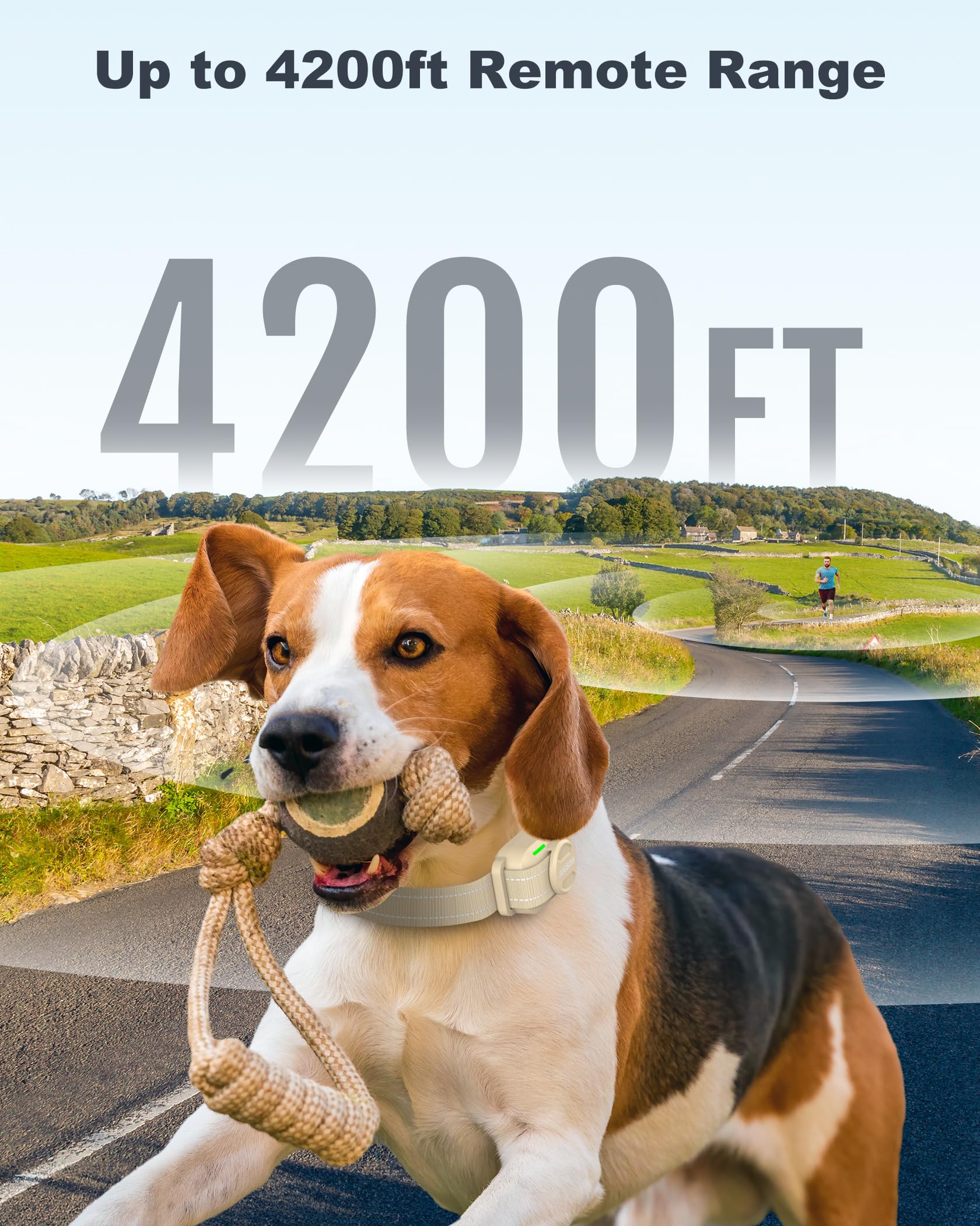 Jugbow Dog Shock Collar - 4200FT Remote Training Collar for 5-120 lb Dogs, Rechargeable Waterproof IPX8, Beep/Vibration/Safe Static