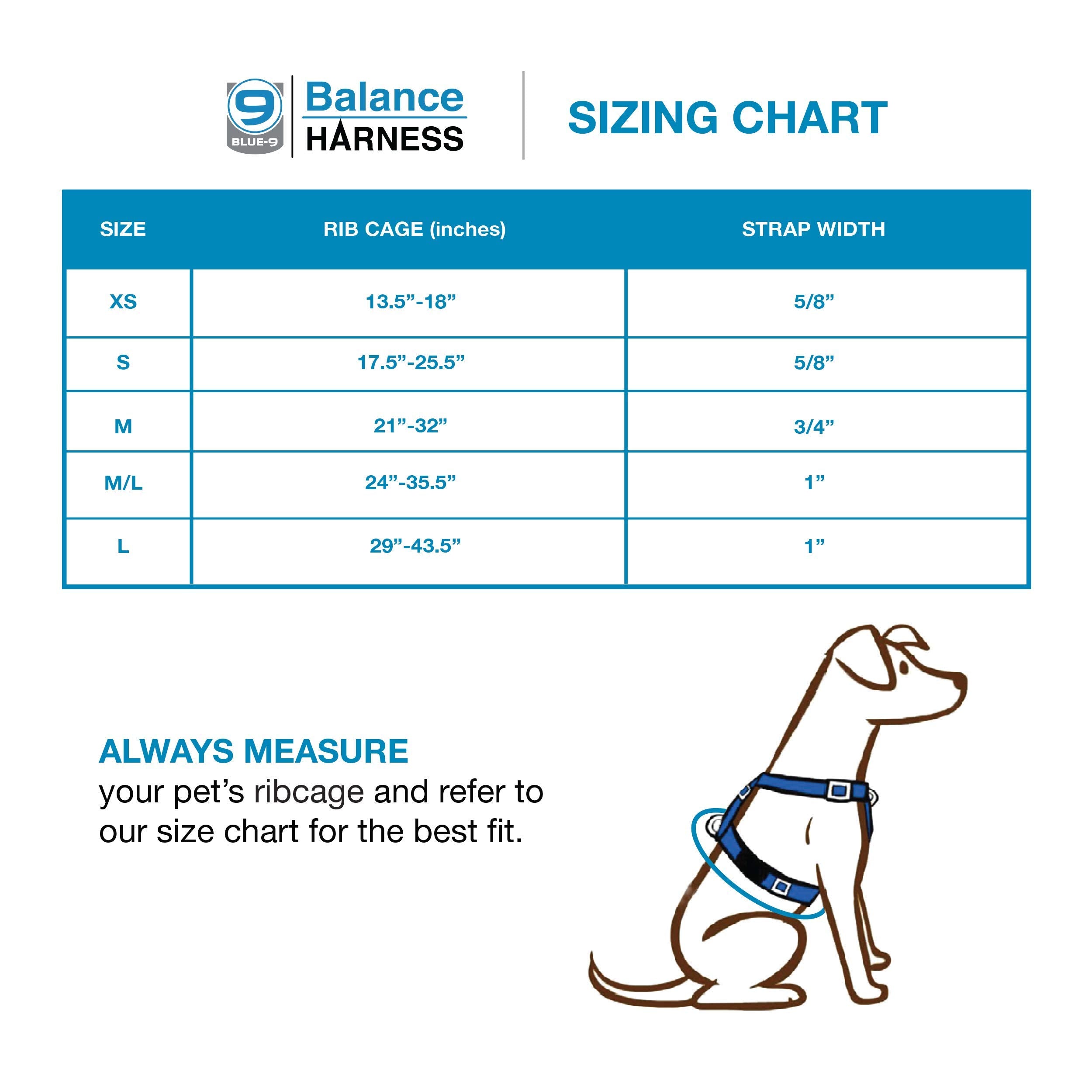 Blue-9 Pet Products No-Pull Balance Harness And Loose Leash Walking Set Dogs, Made In The Usa, Black, Medium/Large