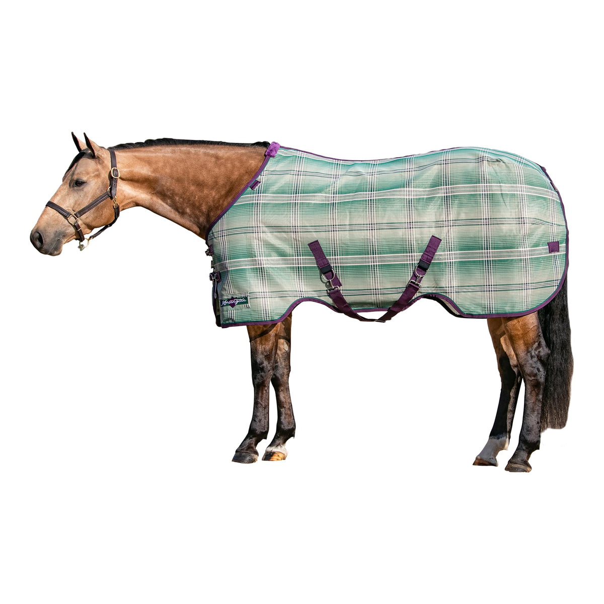 Kensington Breathable And Uv Protective Sheet Surefit All Season Protection For Horse - 72'', Imperial Jade