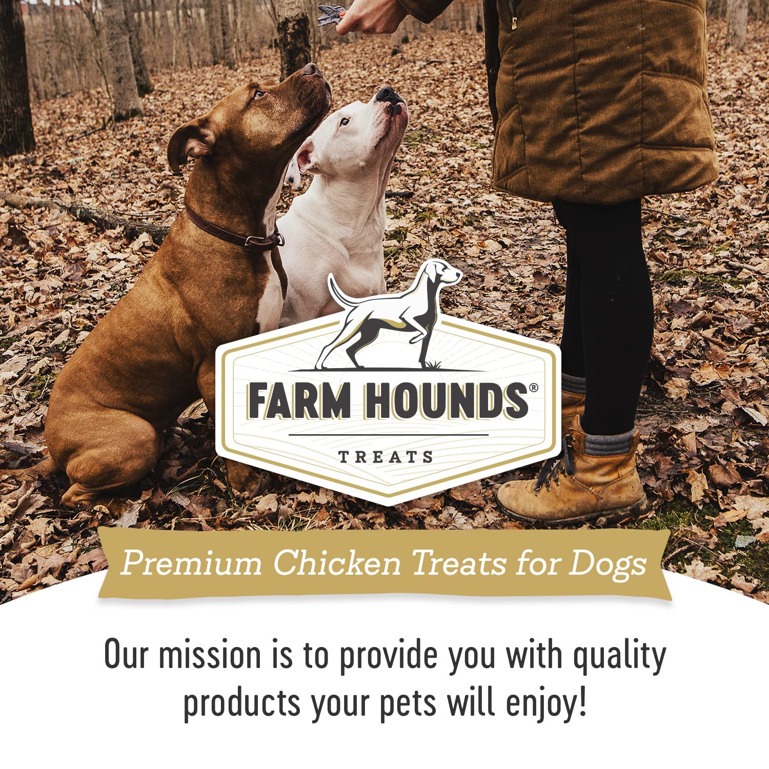 Farm Hounds - Chicken Trainers - Premium Natural Jerky for Dogs - 100% Humanely Raised Chicken - Easy-Break - Great for Training