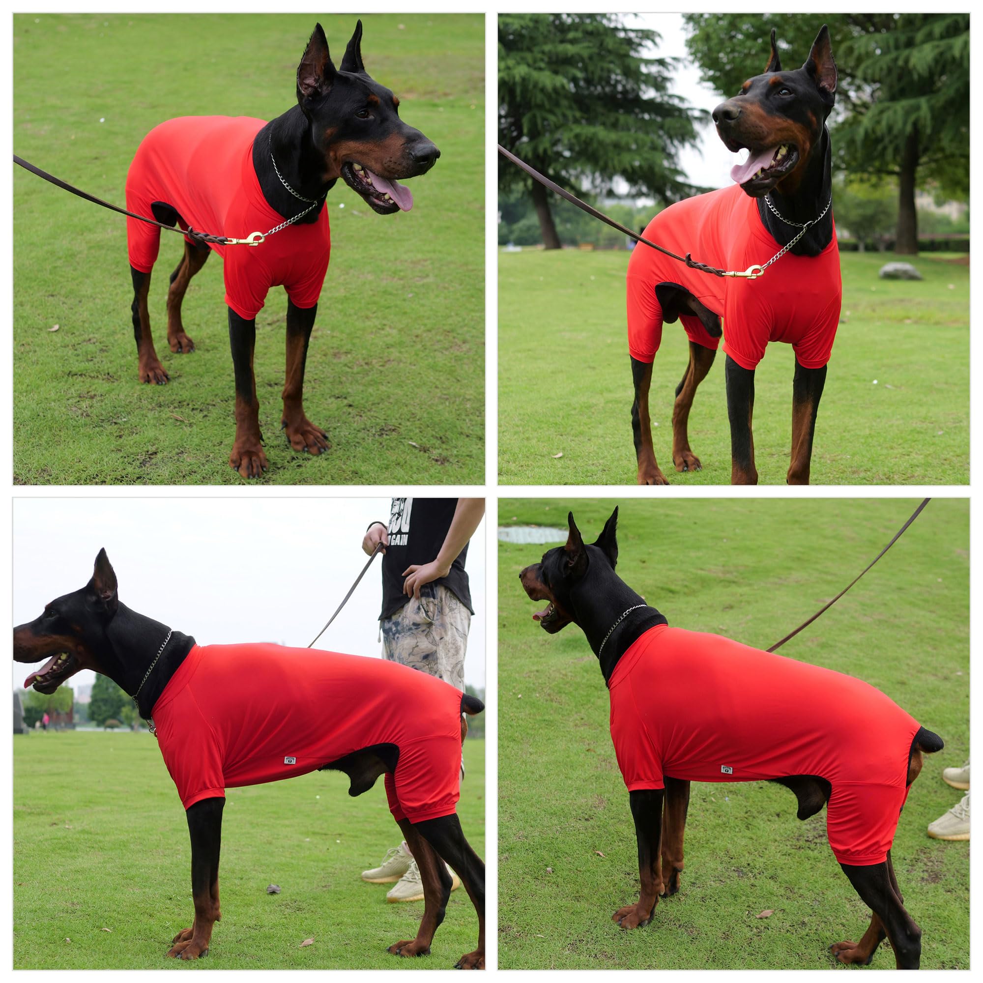 Lovelonglong Dog Jumpsuit With Uv Protection And Quick-Dry Fabric For Spring Summer Pet Pajamas Red L