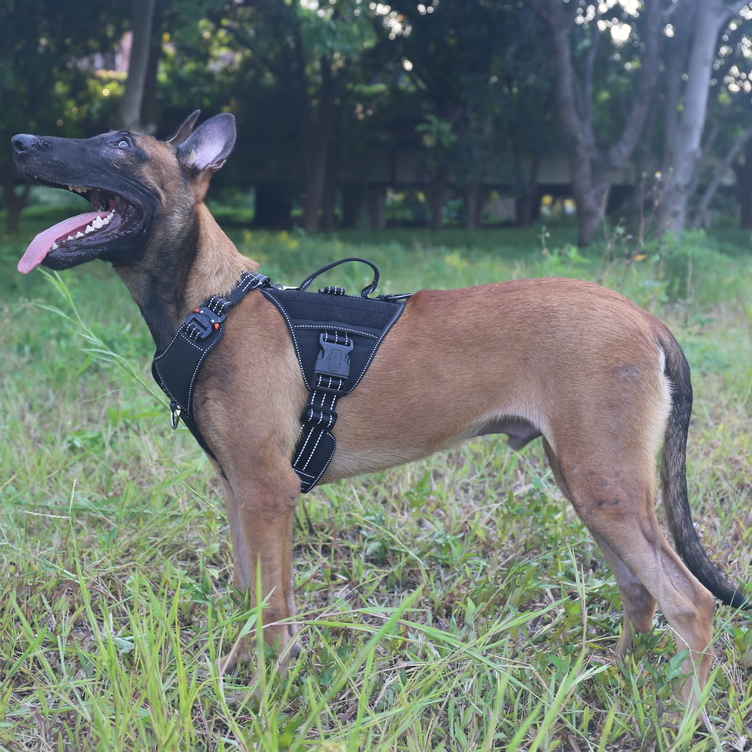Icefang Gn8 Quick Moving Tactical Dog Harness With Handle ,Reflective In Training Walking K9 Vest,No-Pull Front Clip,5-Points Adjust,Hook And Loop Panel (L (Neck 18'-24'; Chest 28'-35'), Black)