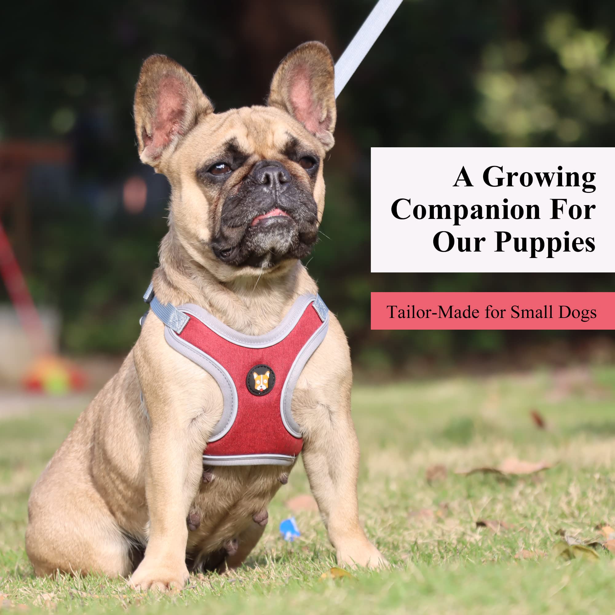 Huggiegems Adjustable Dog Harness Vest And Leash Set For Small, Medium Dogs No Pull, Step In Escape Proof Reflective Easy Walk Puppy Harness, Red, Xs (Comes With A Measuring Tape)