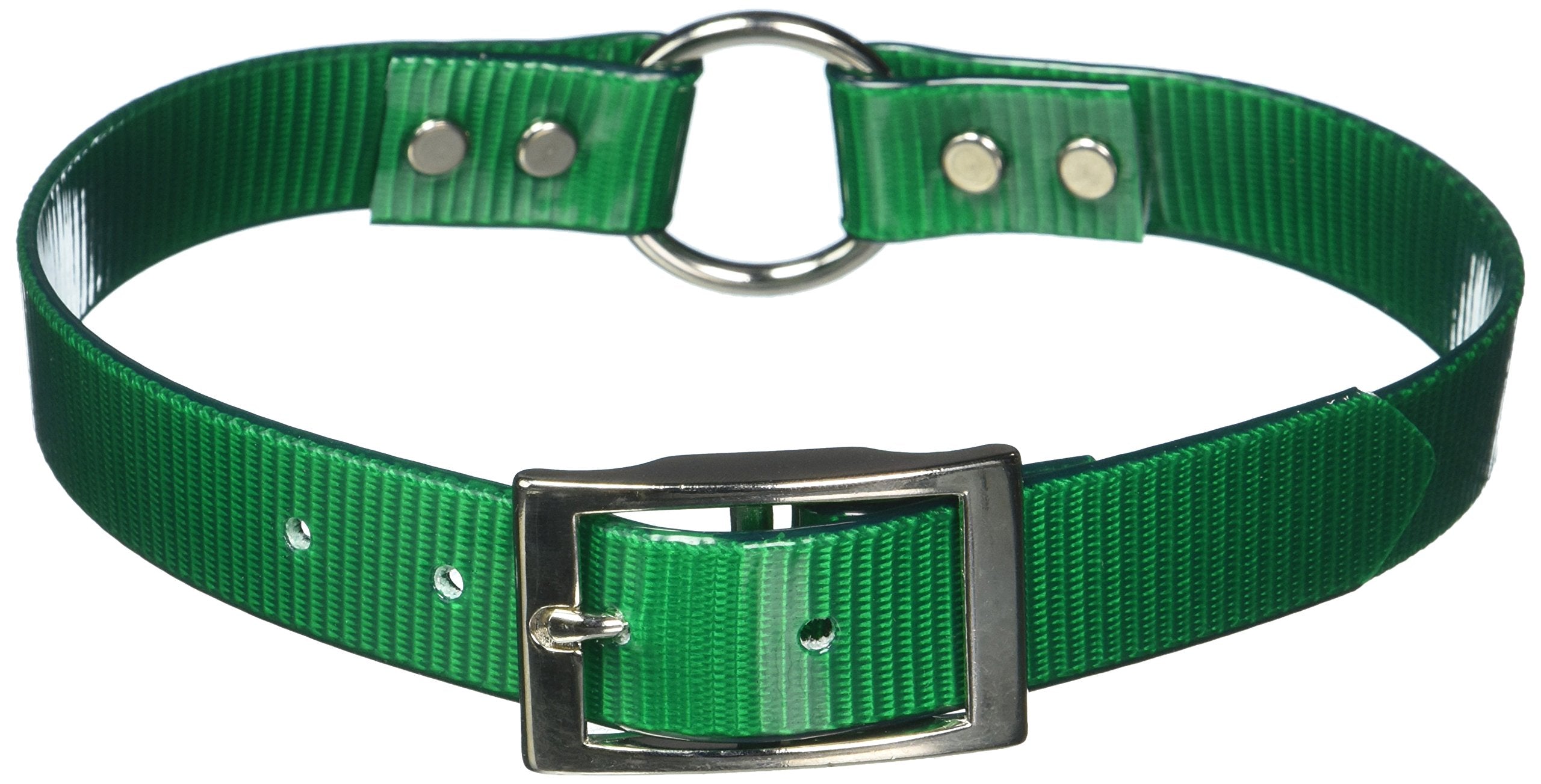 Omnipet Sunglo Ring-In-Center Dog Collar, 1' Wide, Green, Fits 18.5'- 22' Neck Sizes, Vibrant Colors & Tough Construction For